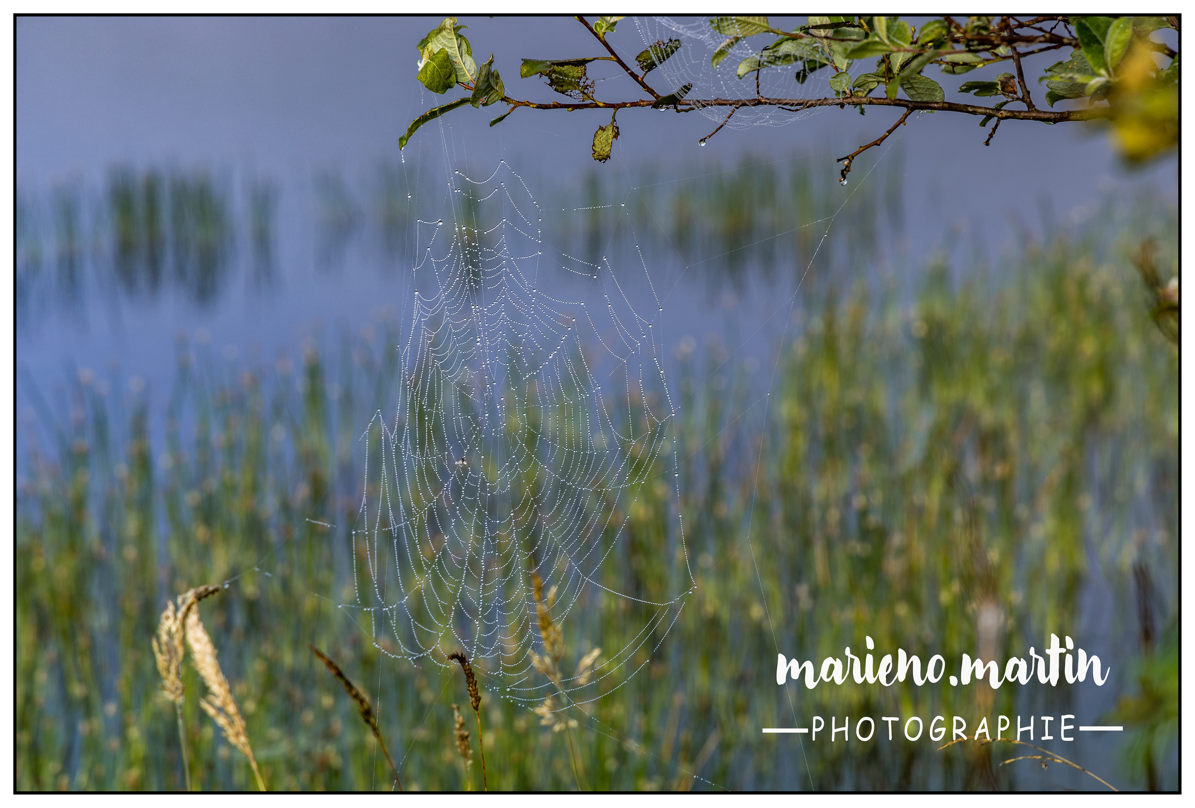 La toile - la godivelle