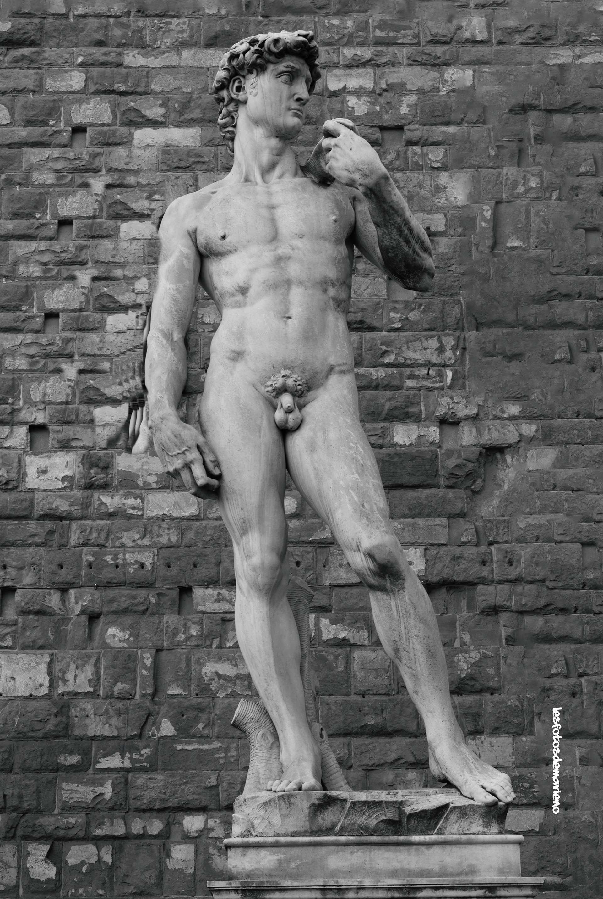 David