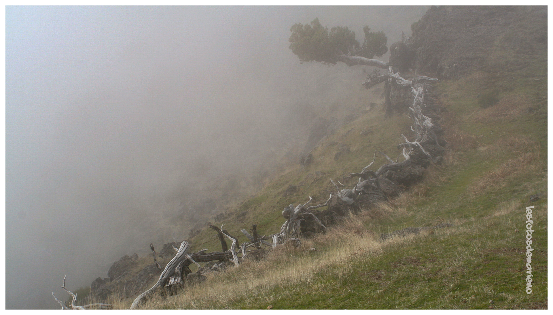 Sur le Pico ruivo