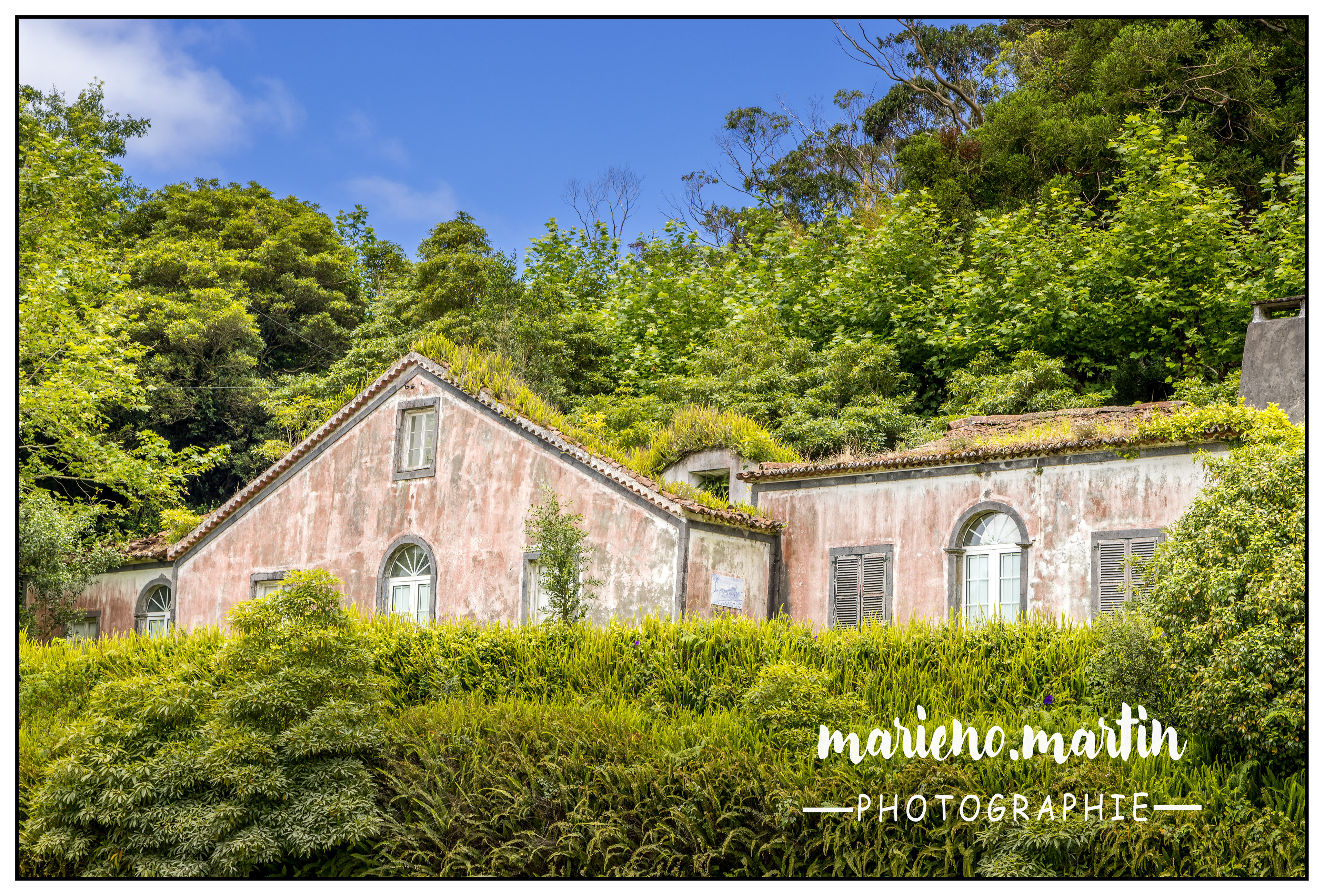 Abandonnée