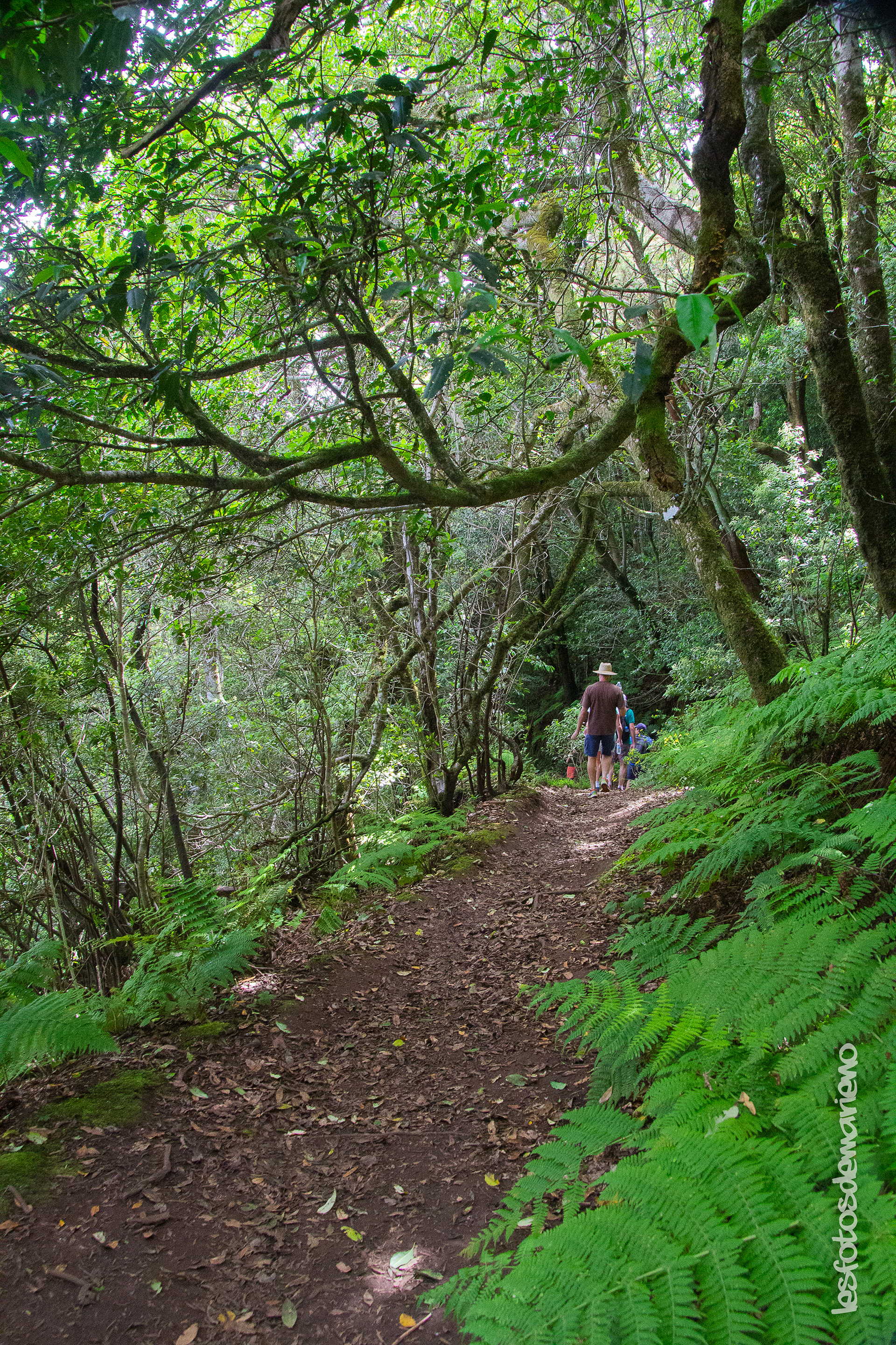 Sur le chemin du Picos del Angles
