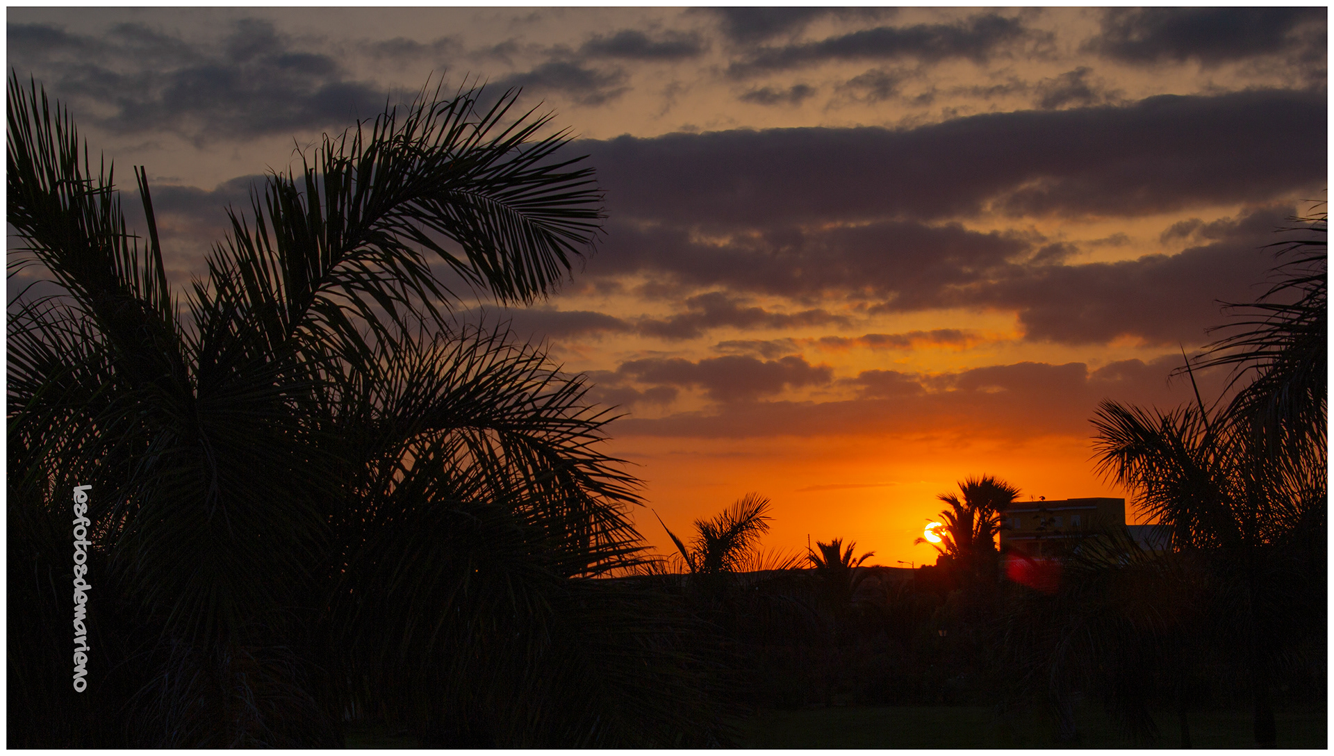 Coucher de soleil sur la terrasse - Les canaries