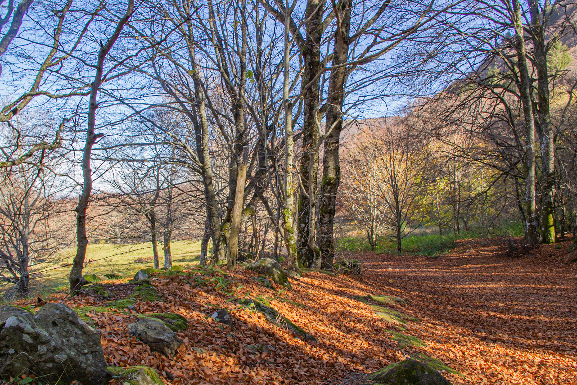 Dans la vallée de Chaudefour