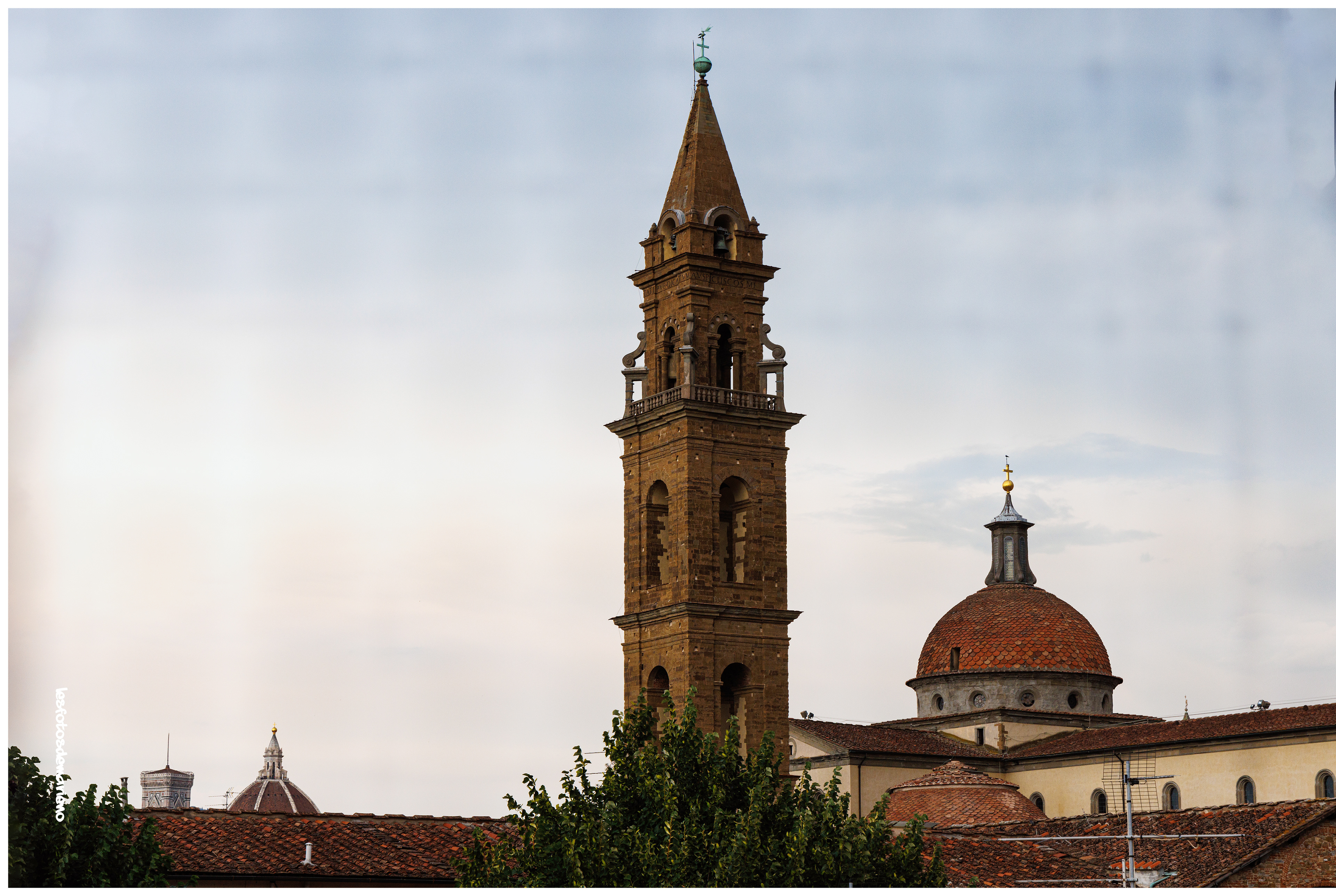 A travers le grillage