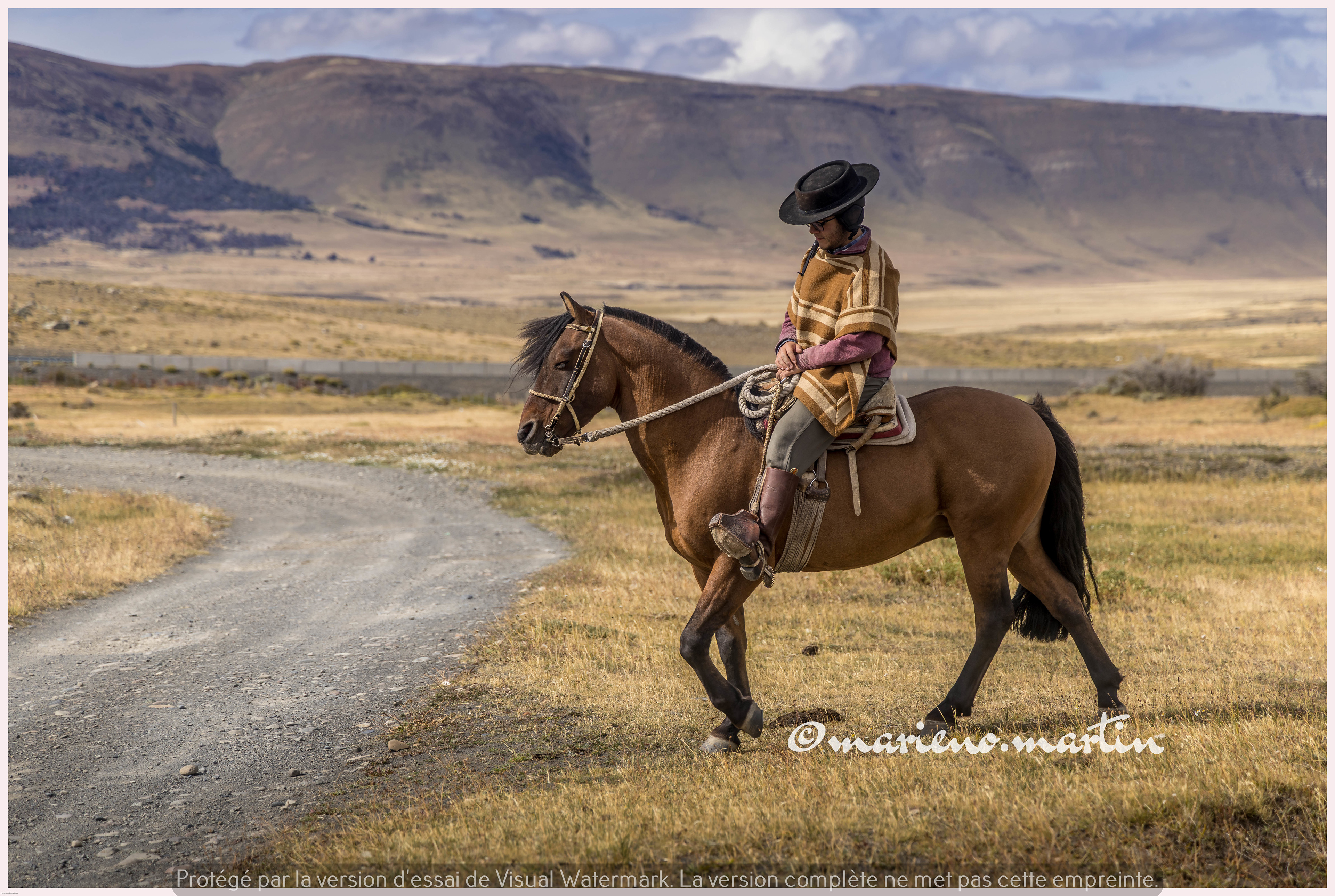 Le gaucho et son cheval