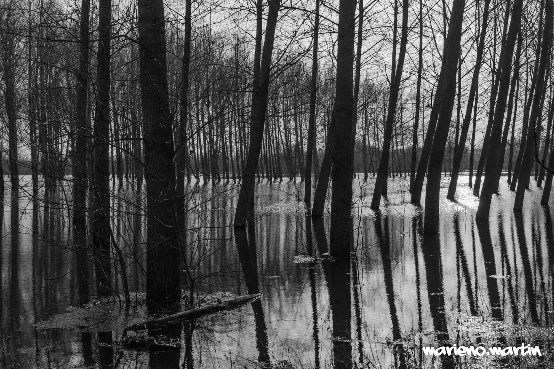 Après la tempête - Niort