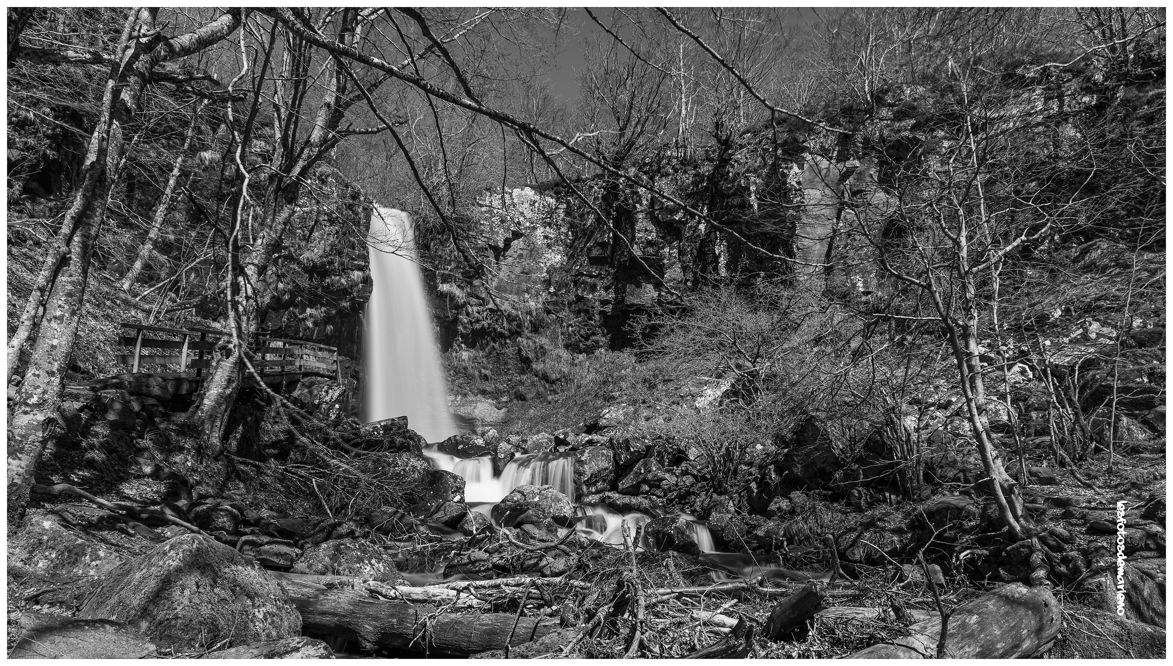 Le saut de la truite