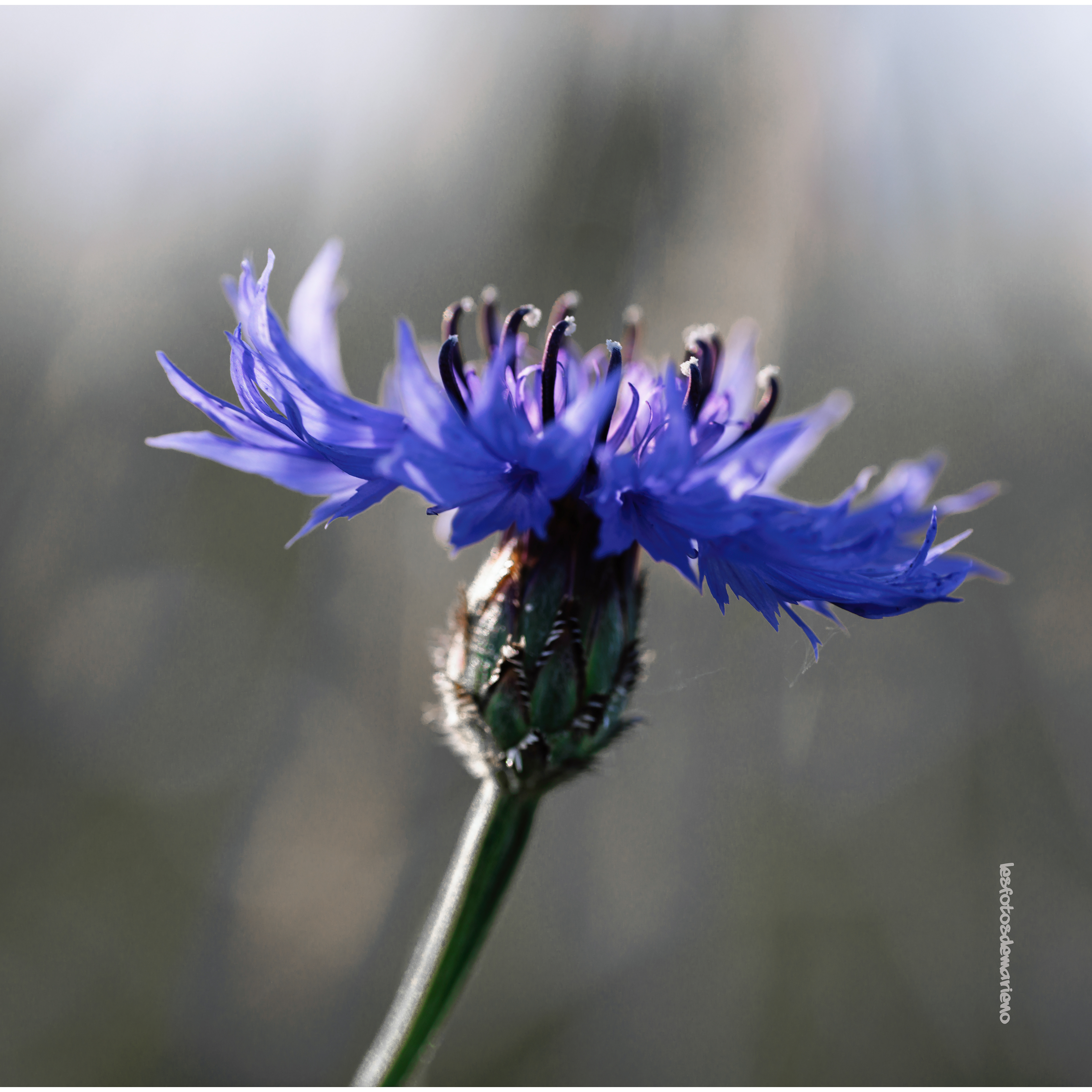 Désaturation partielle