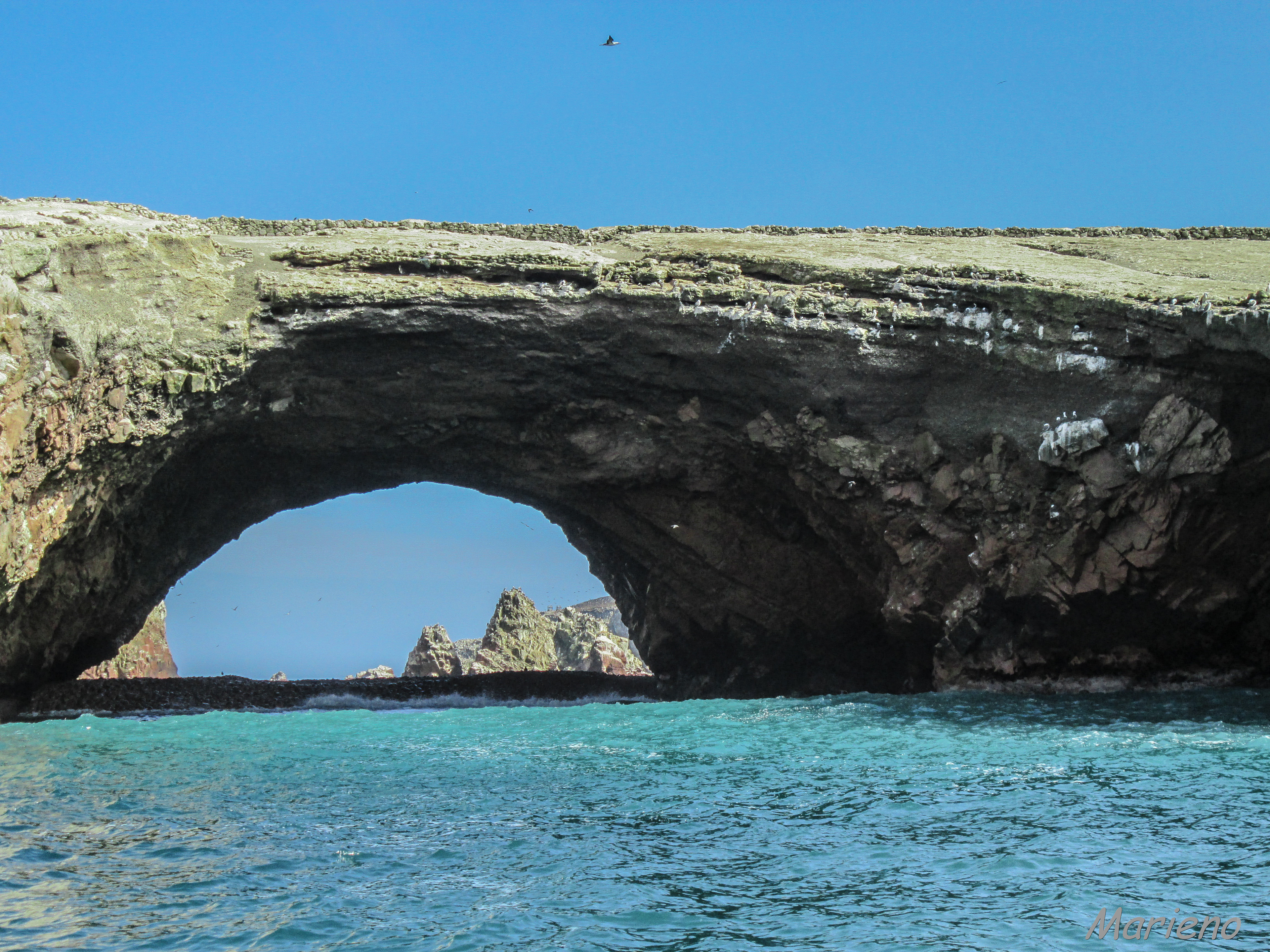 Les Iles Ballestas - Pérou