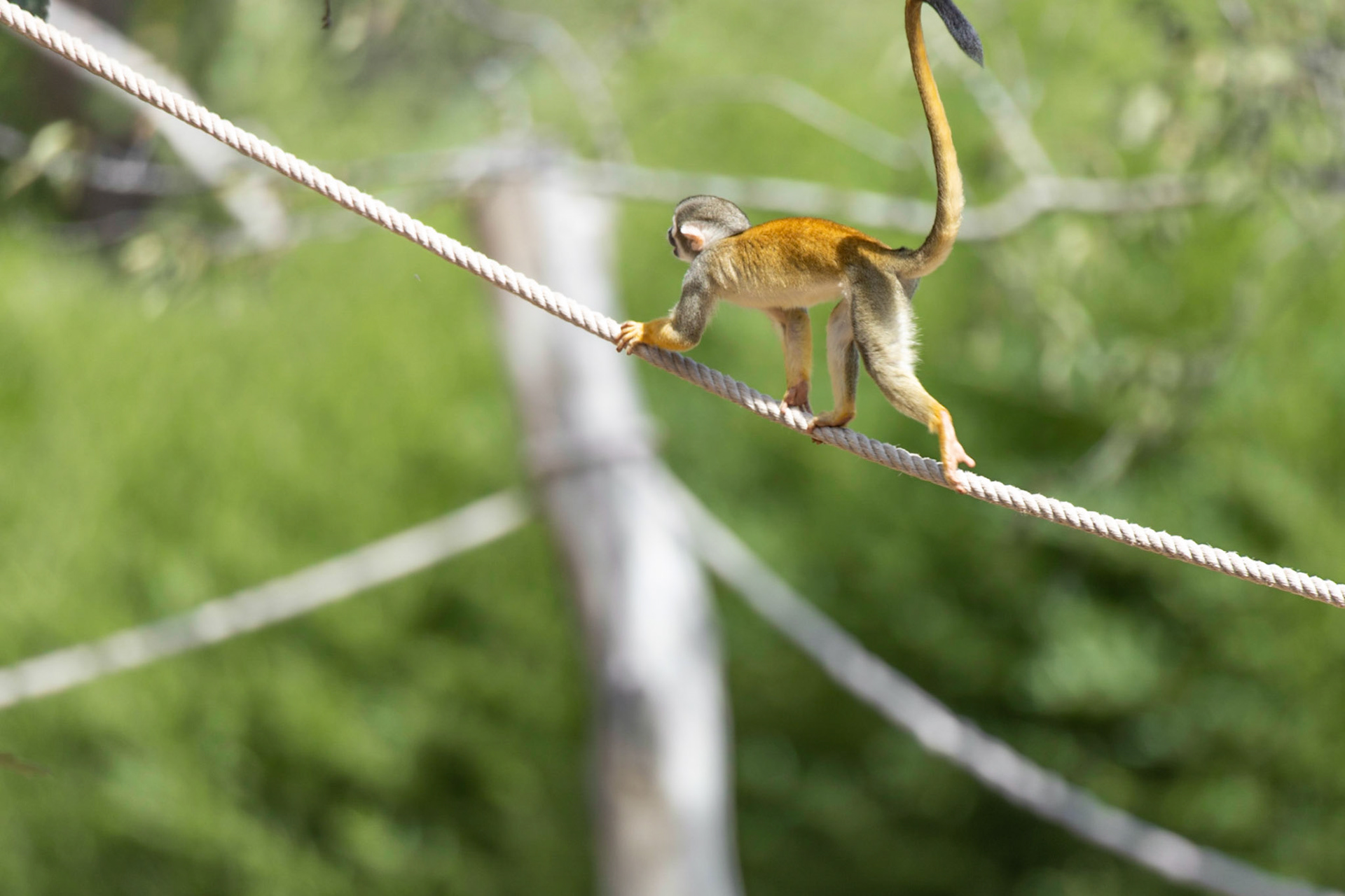 Exercice d'équilibre
