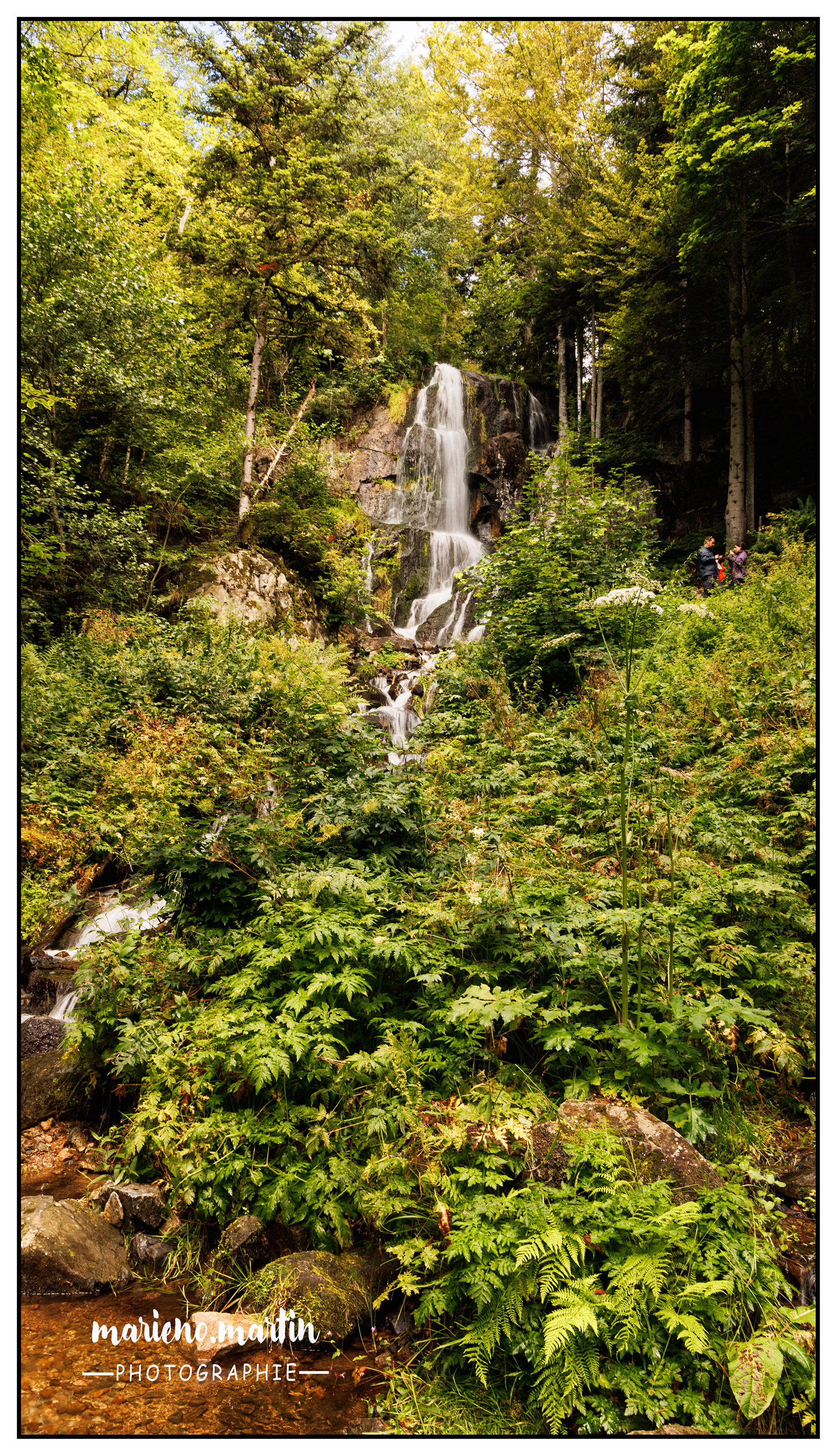 Alsace -La cascade du  Howald