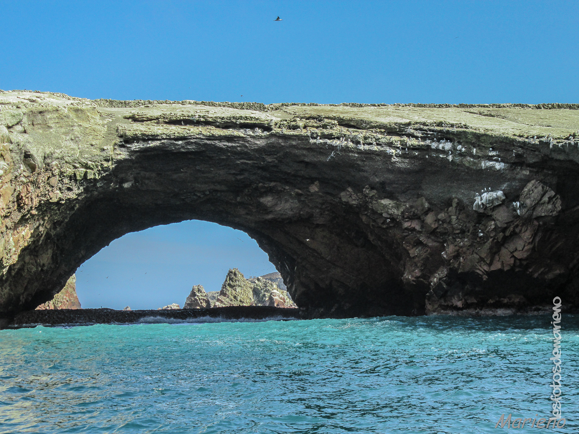 Sur les iles Ballestas