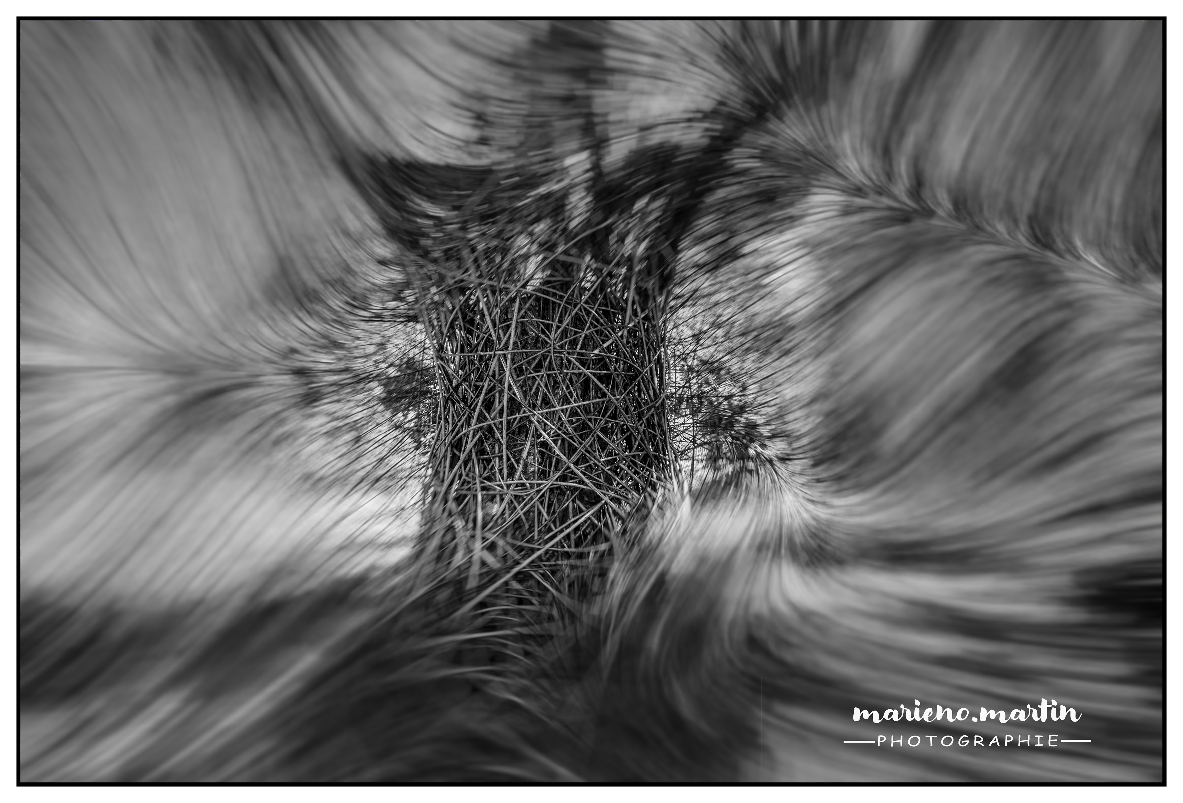 Horizons sancy 2024 Flou directionnel