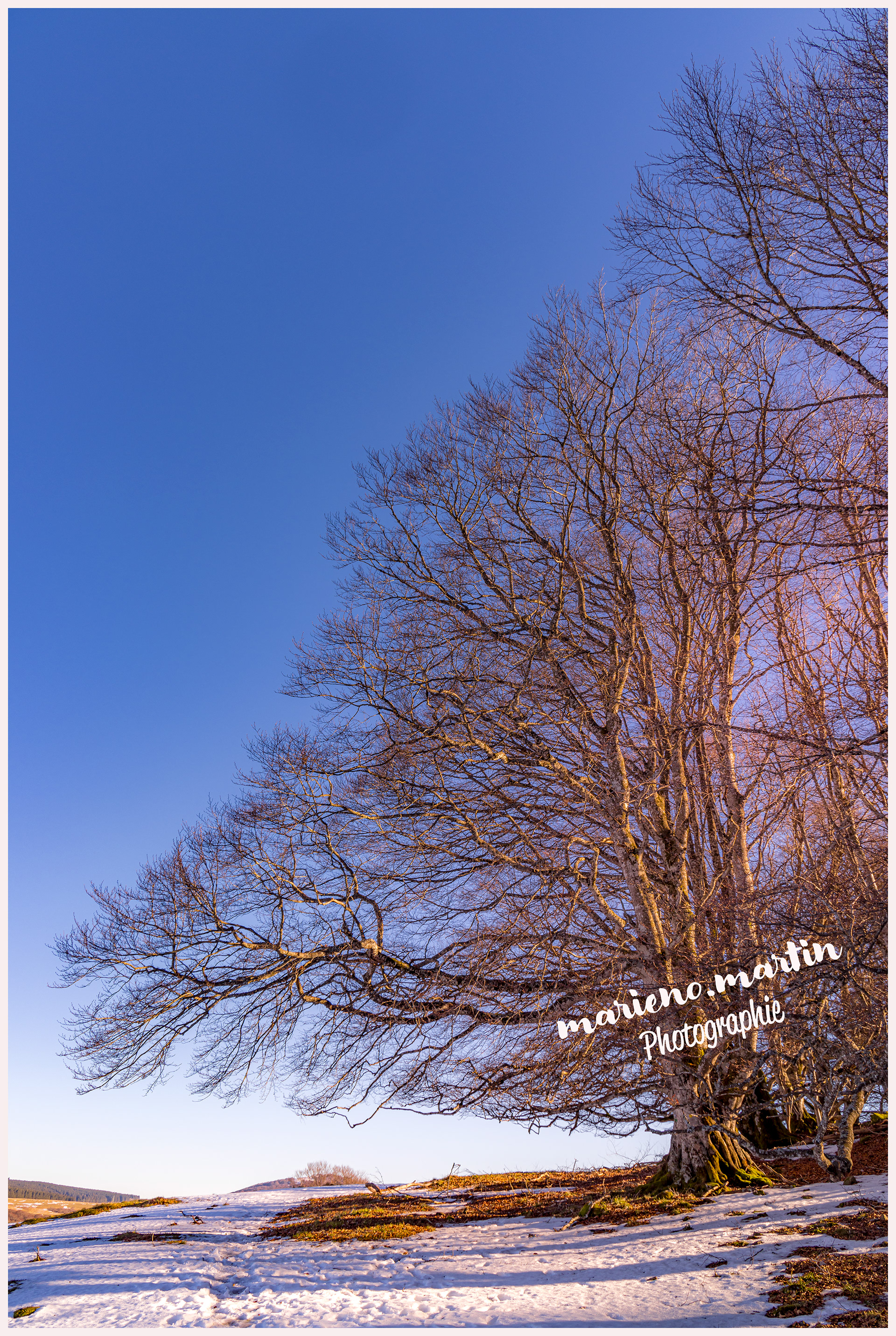 Autour du lac chauvet 