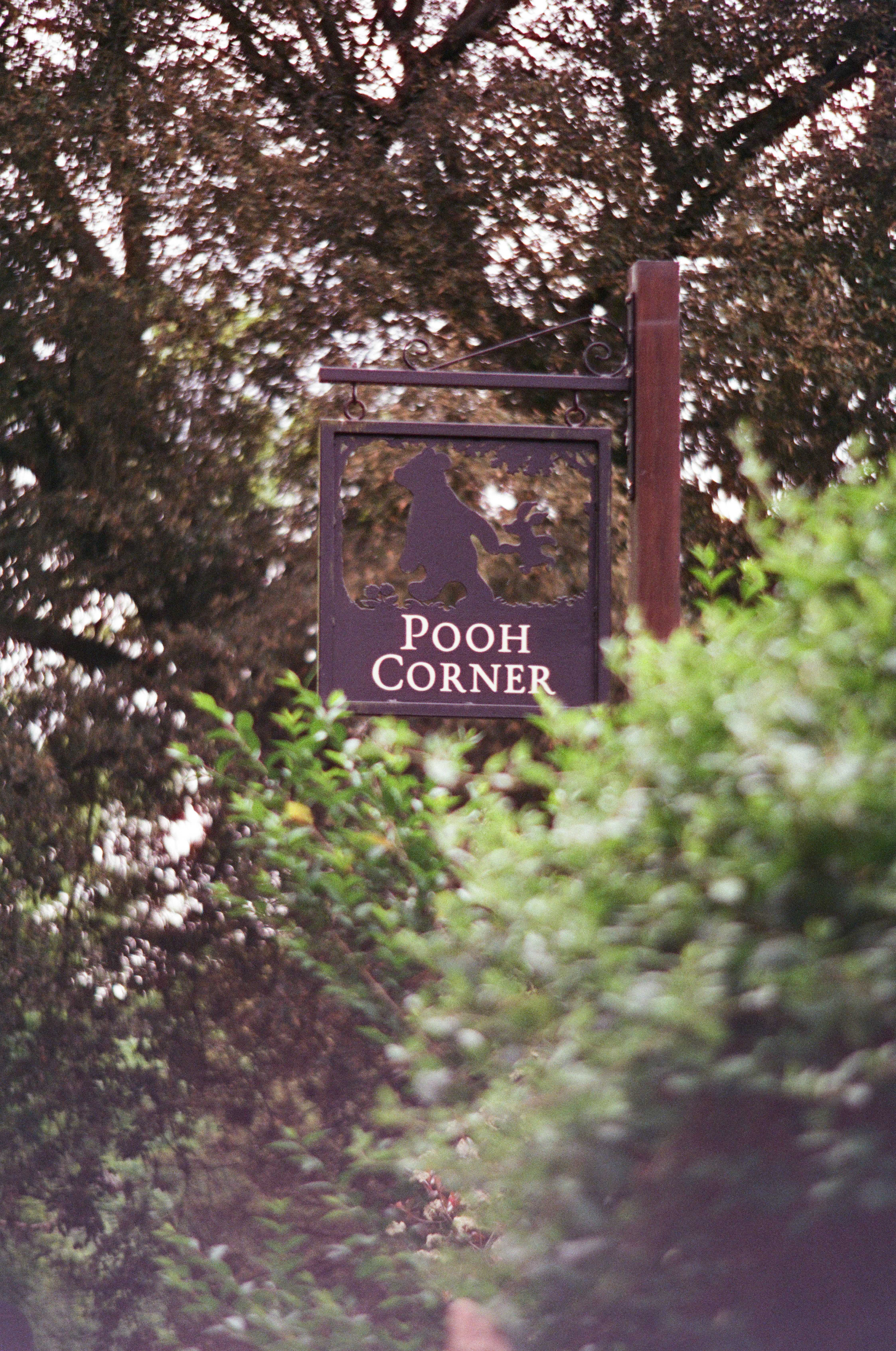 Minolta XG-7, CineStill 400D