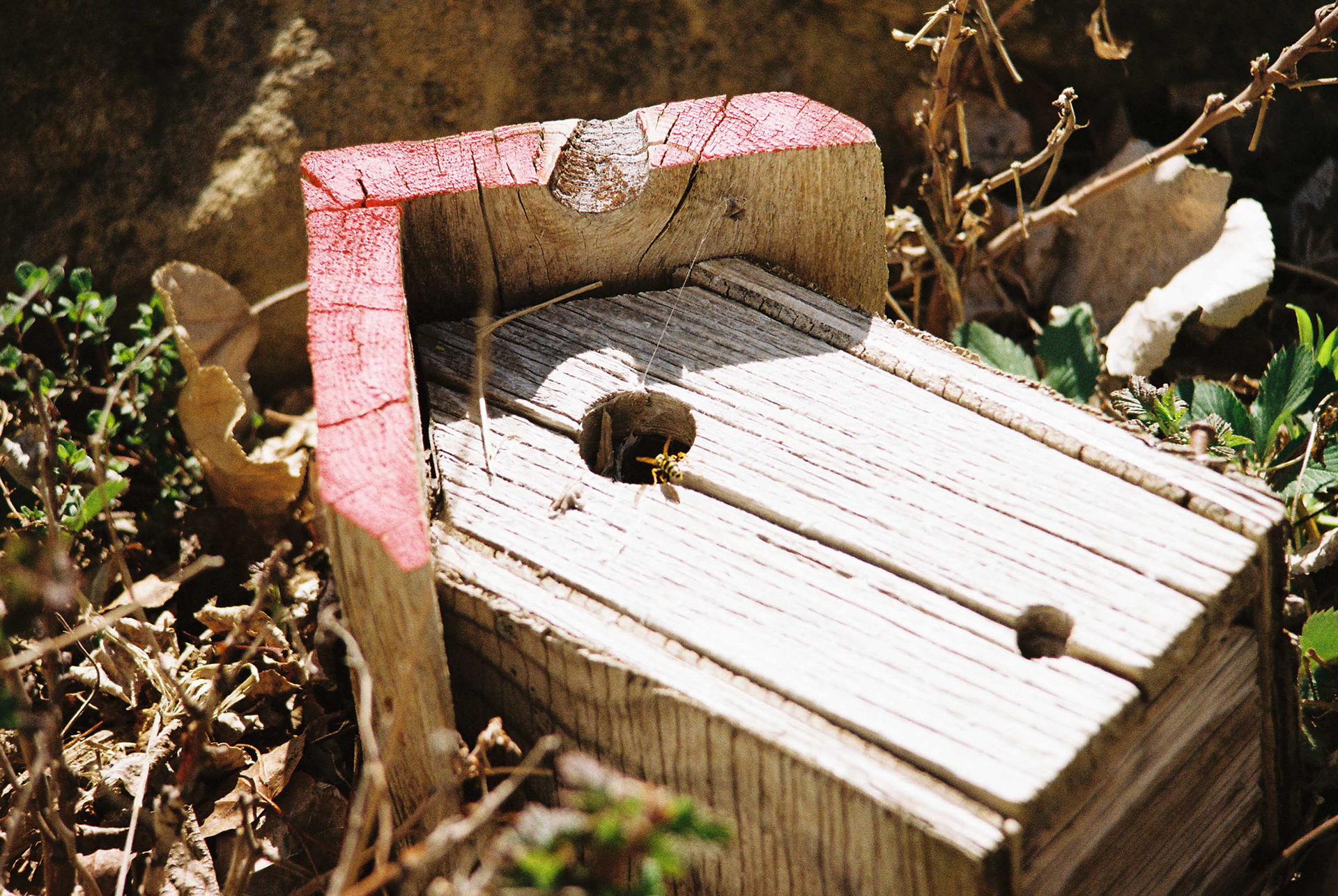 Minolta XG-7, Fujifilm 200