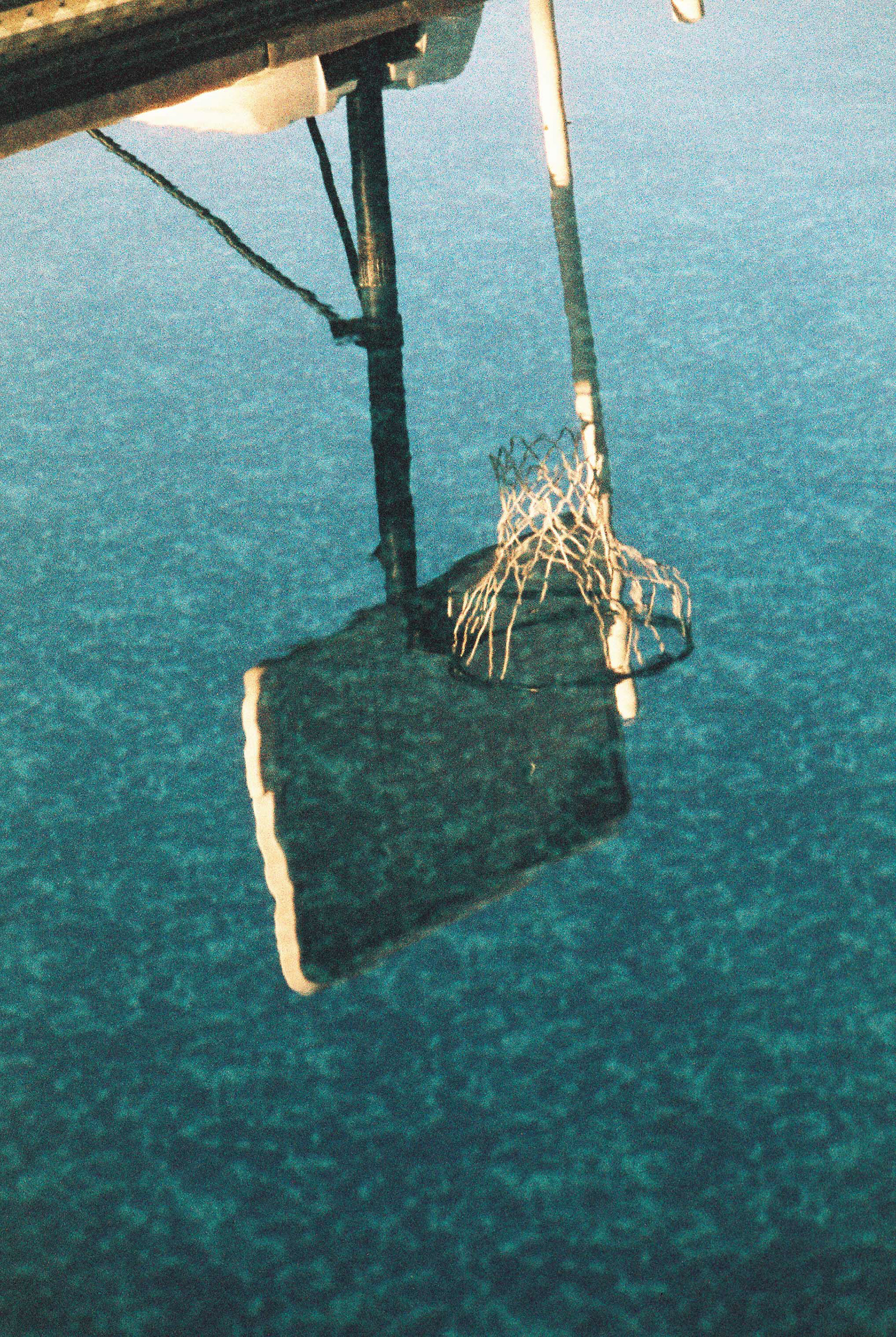 Minolta XG-7, Harman Phoenix 200