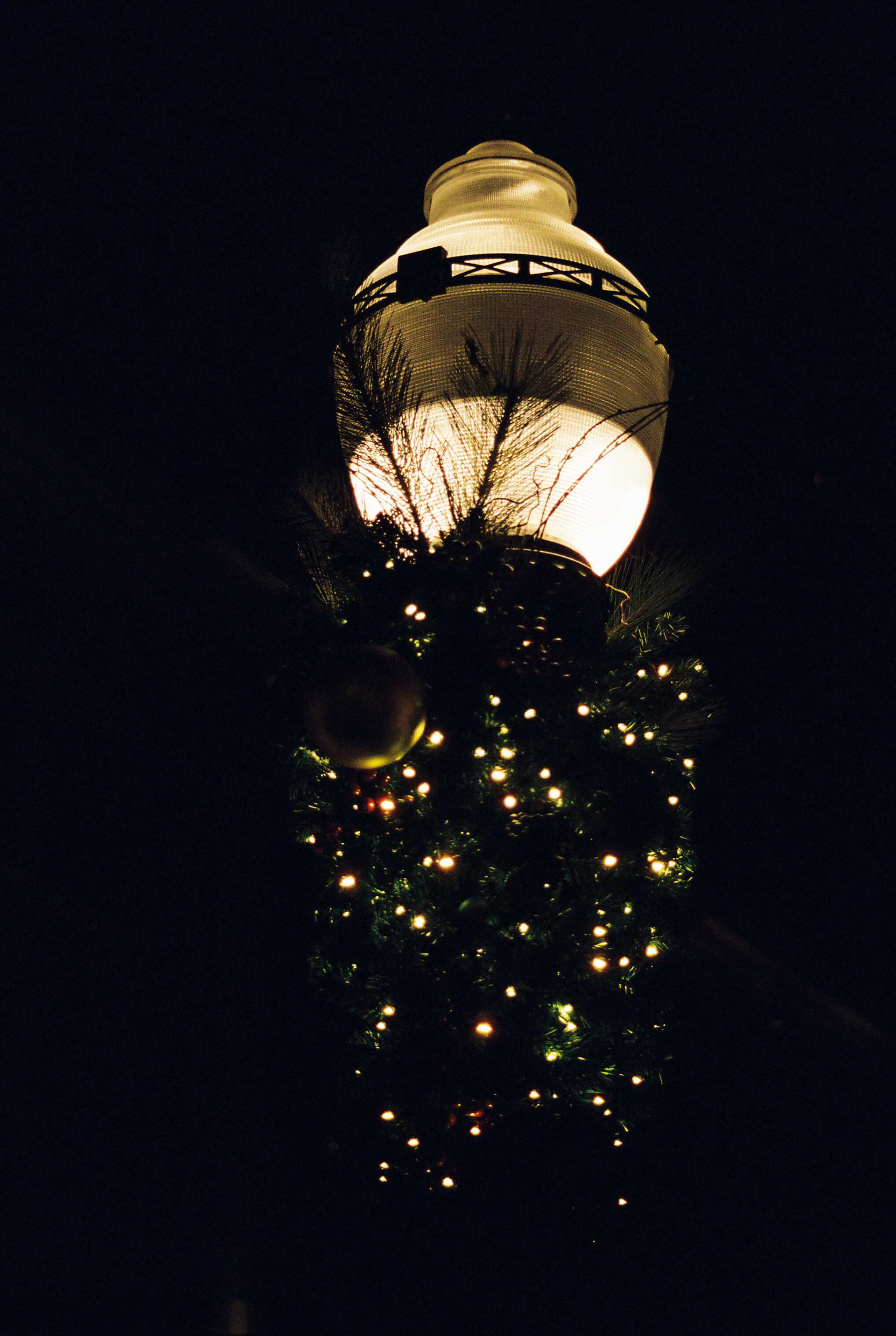 Minolta XG-7, Kodak Portra 800