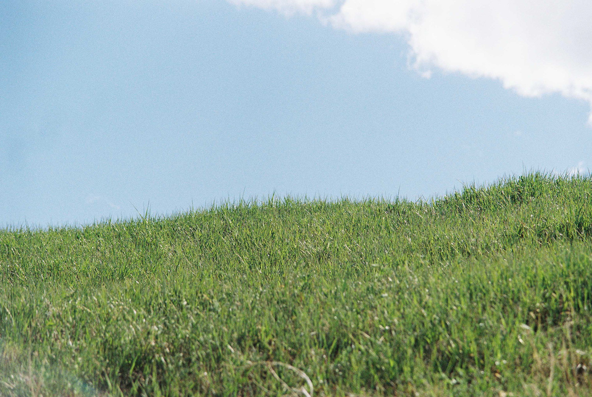 Minolta XG-7, Kodak 400