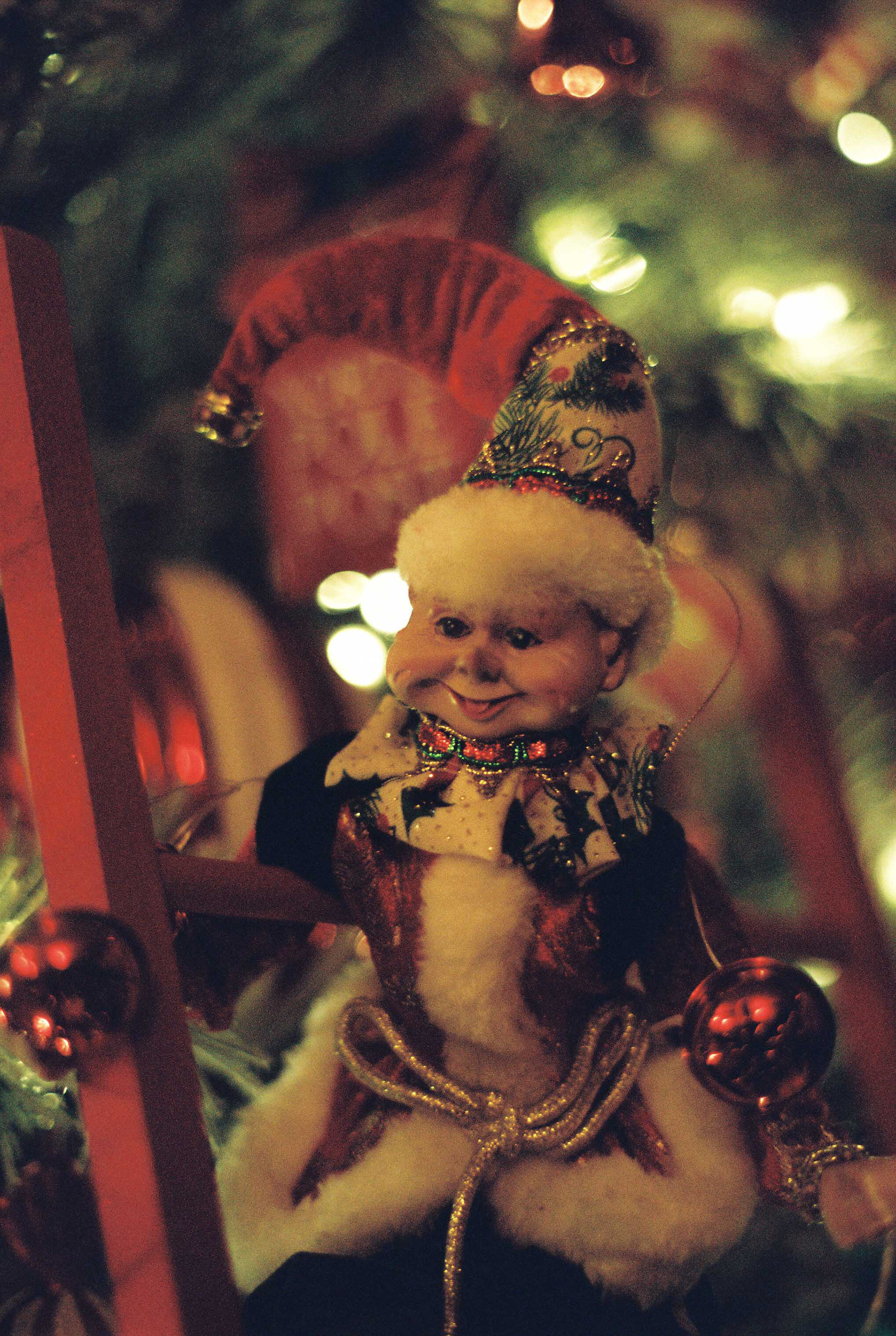 Minolta XG-7, Kodak Portra 800