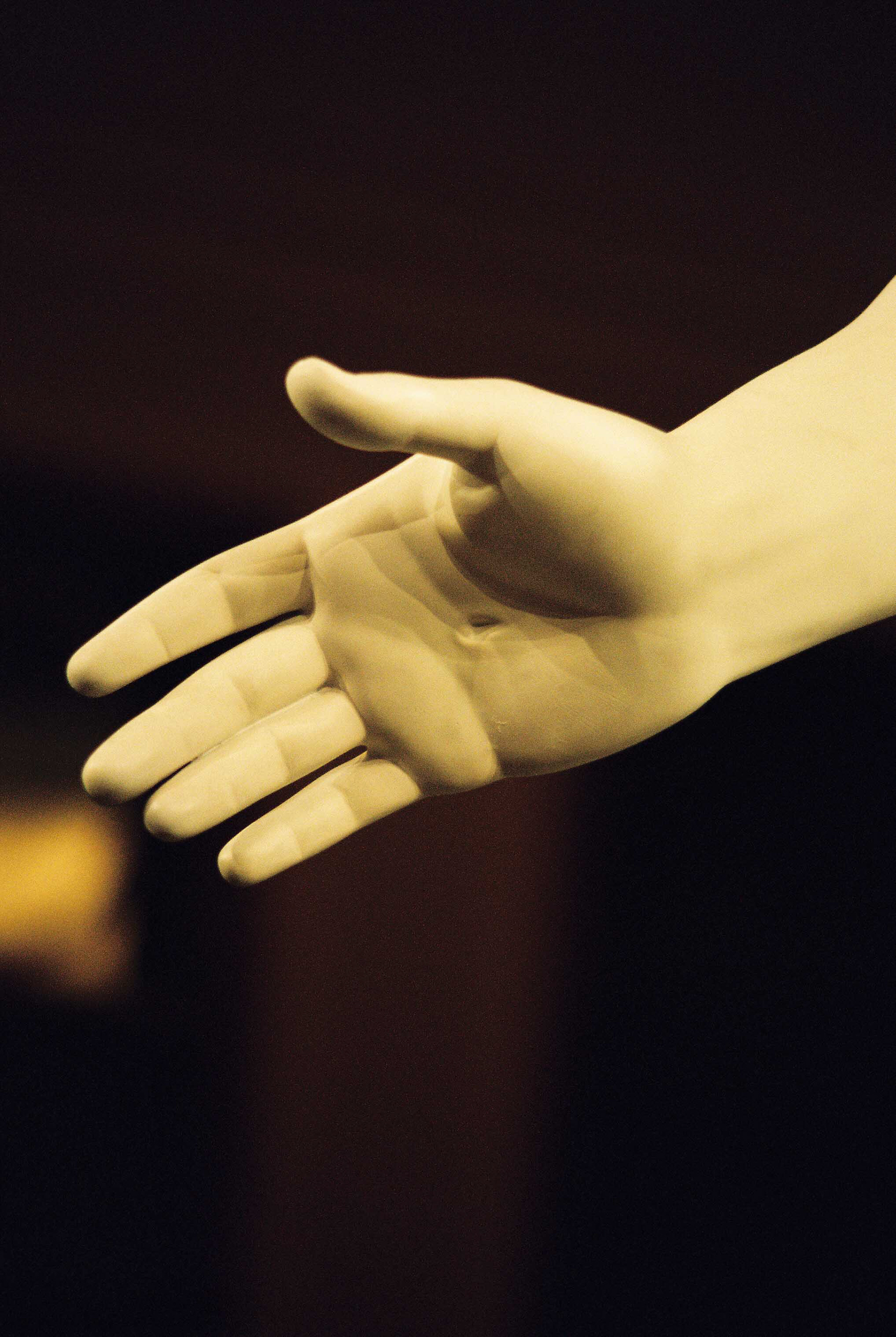 Minolta XG-7, Kodak Portra 800