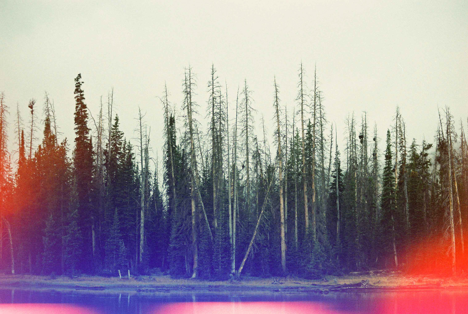 Minolta XG-7, Psychedelic Blues #3