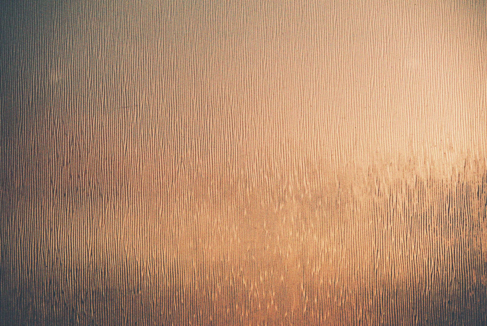 Minolta XG-7, Harman Phoenix 200