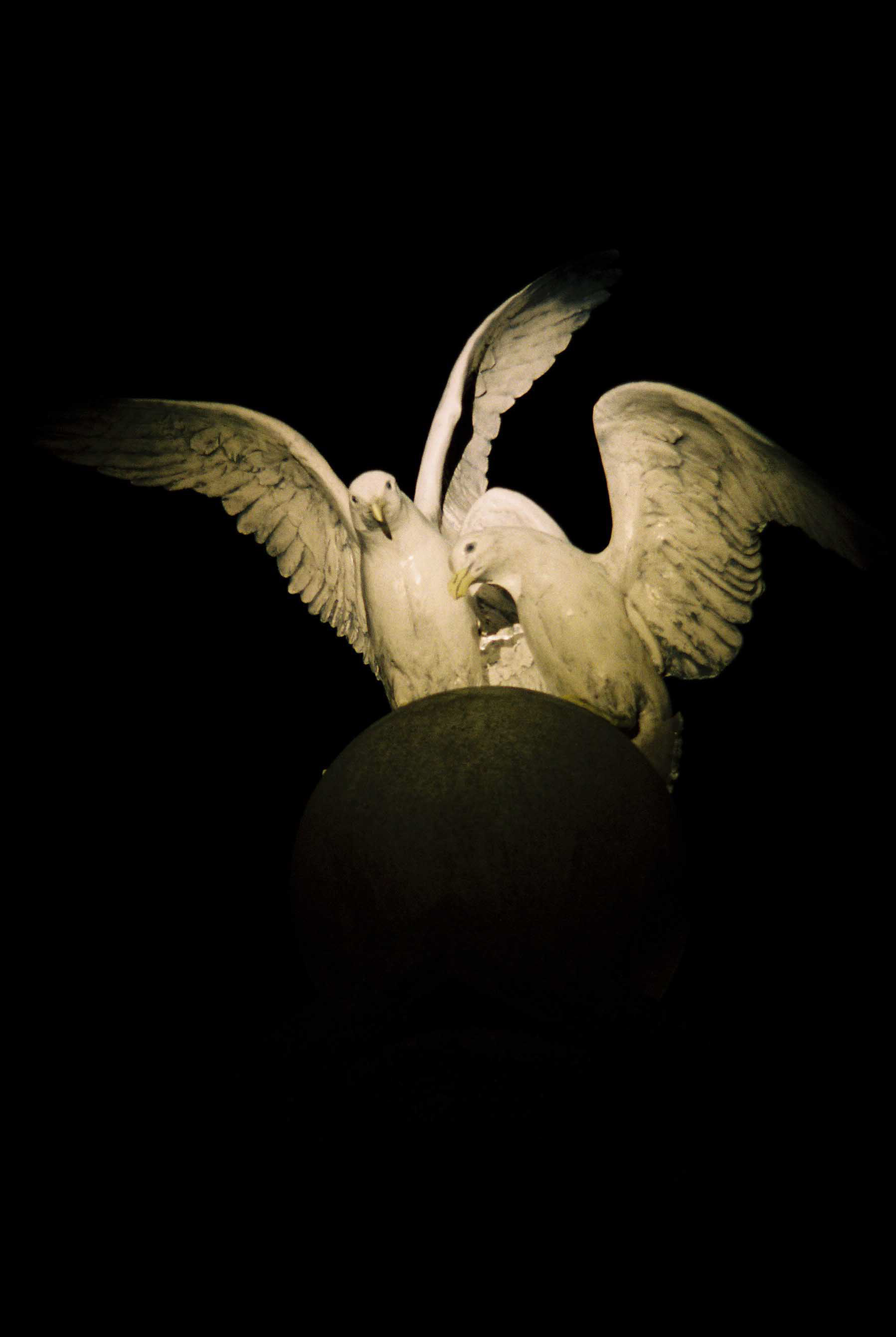 Minolta XG-7, Kodak Portra 800