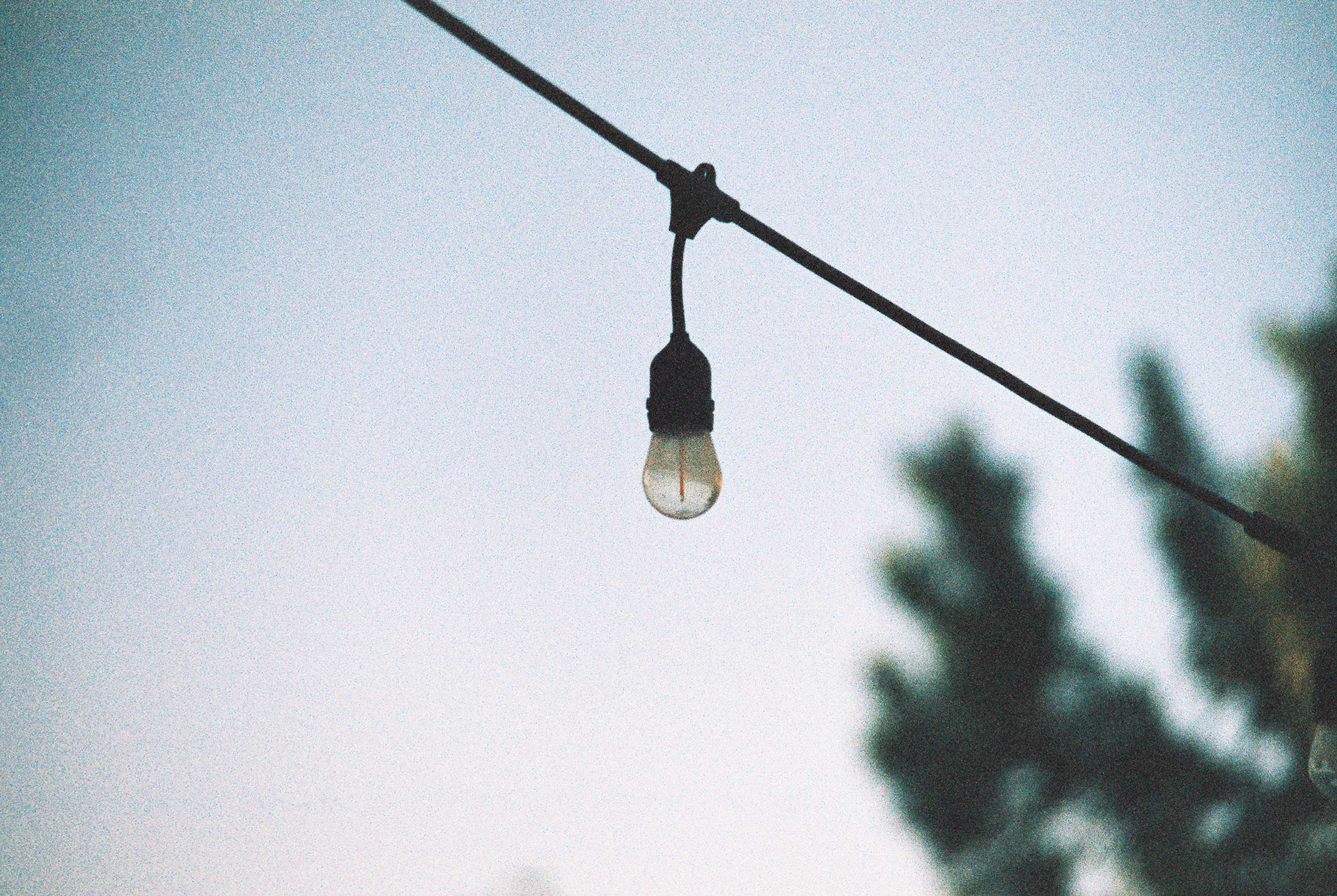 Minolta XG-7, Harman Phoenix 200