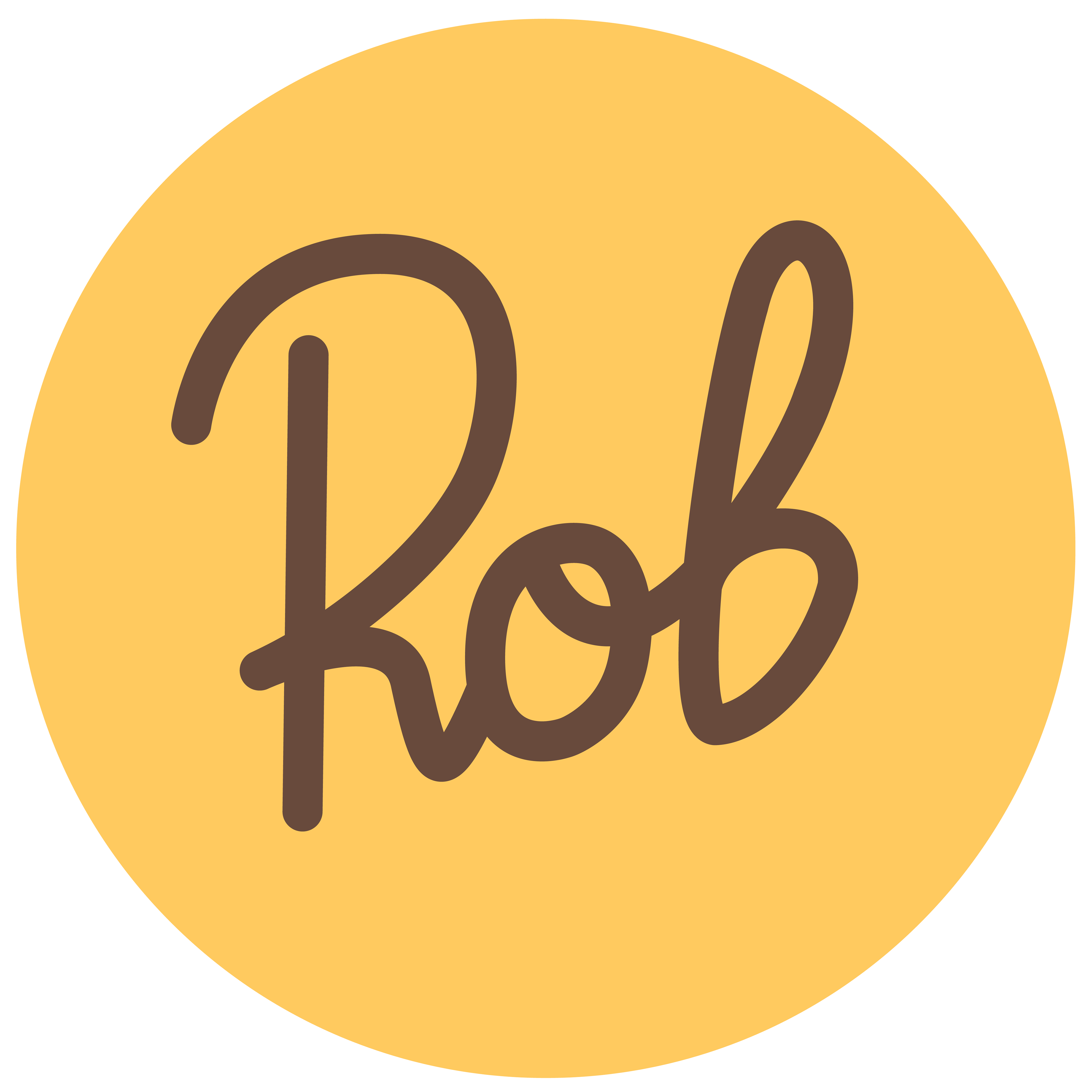 Robert Gomes Santana
