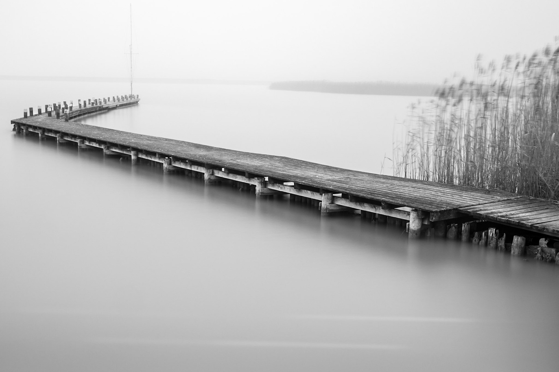 honestly, i have no idea where the weird pattern in the front comes from.