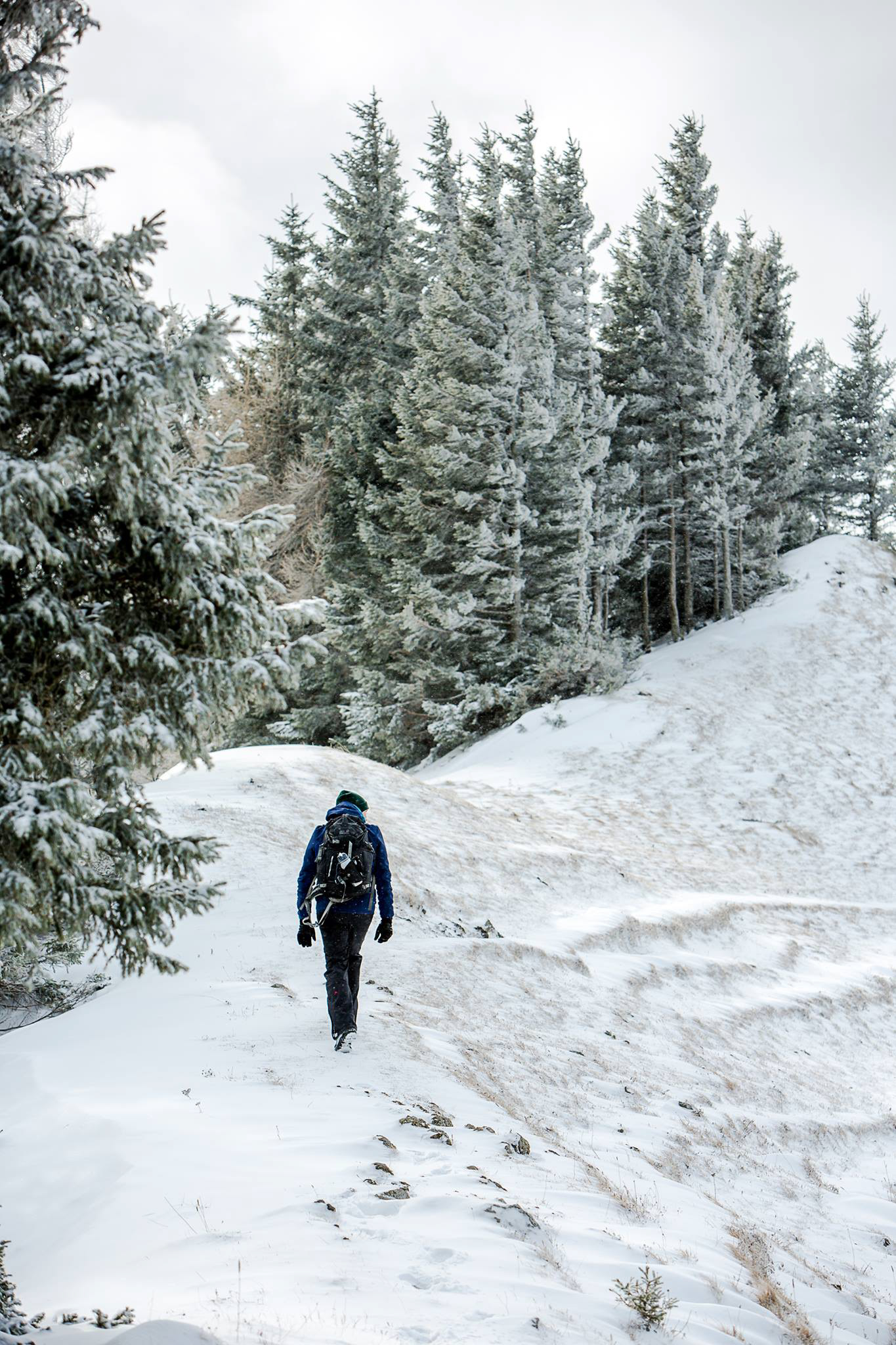 Winter Hike