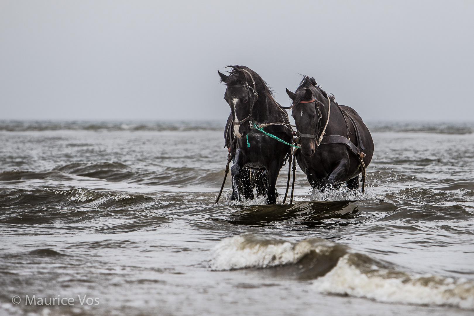 Reisfotografie, Ameland