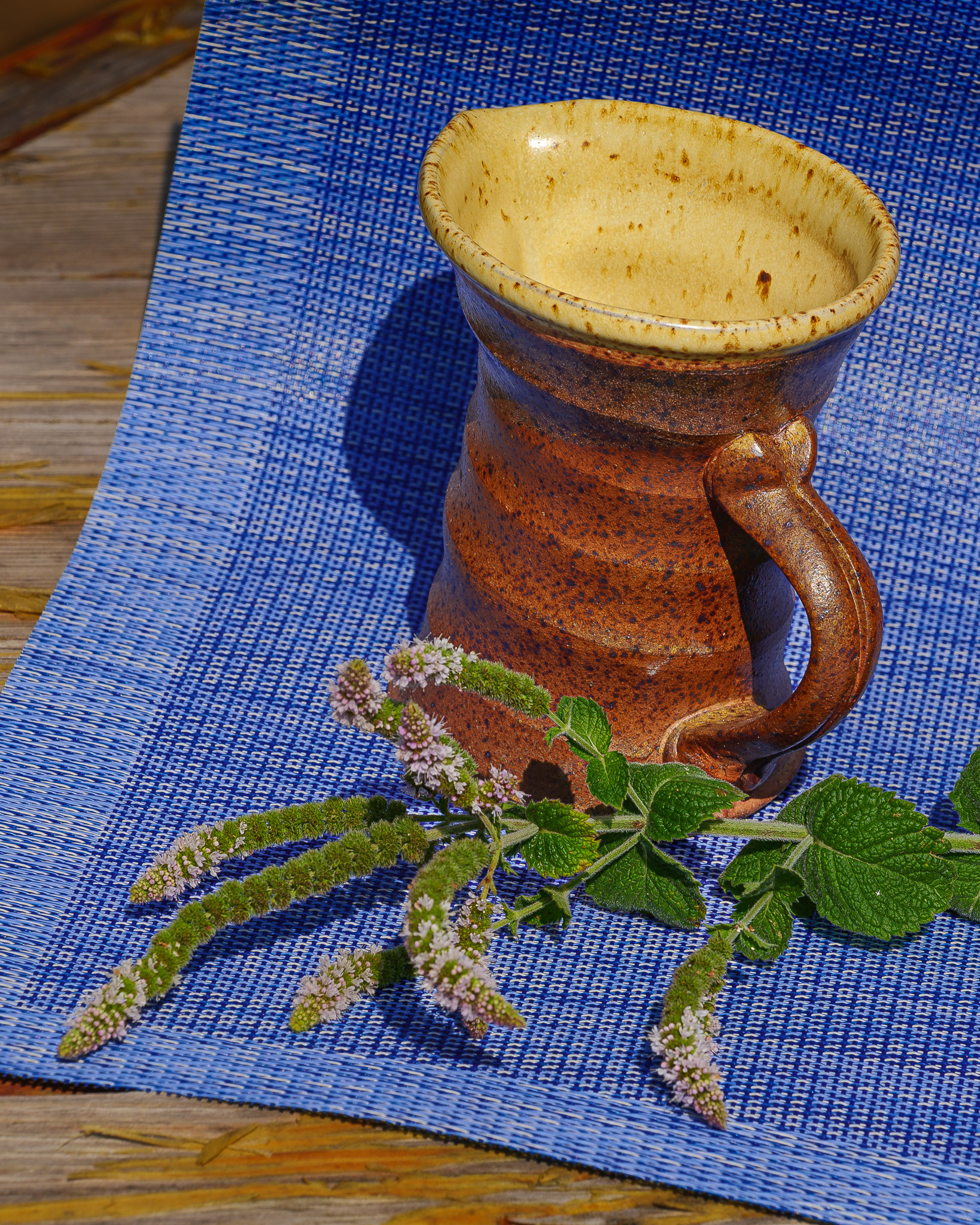 Precambrian Pitcher