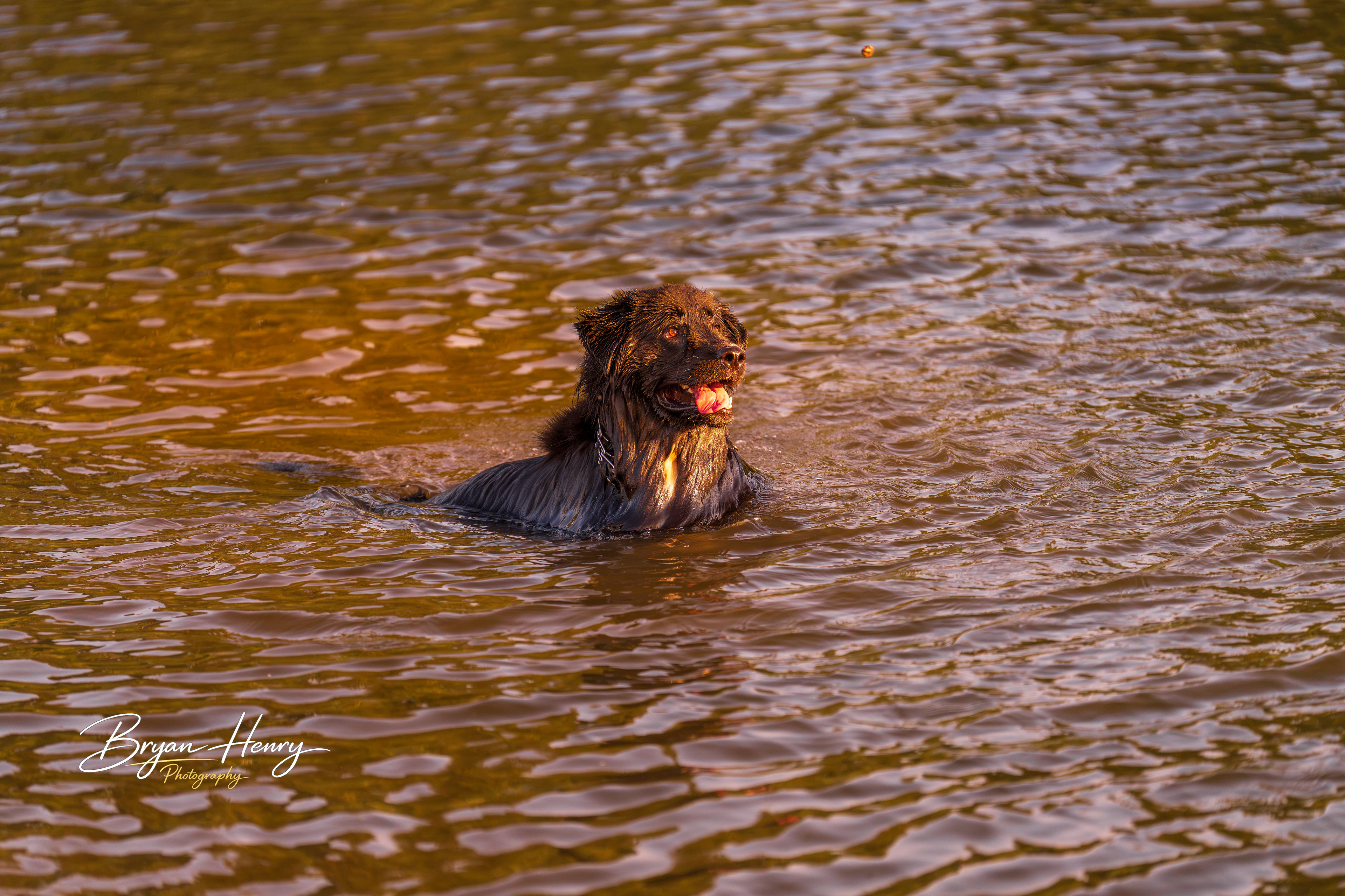 Learning to swim