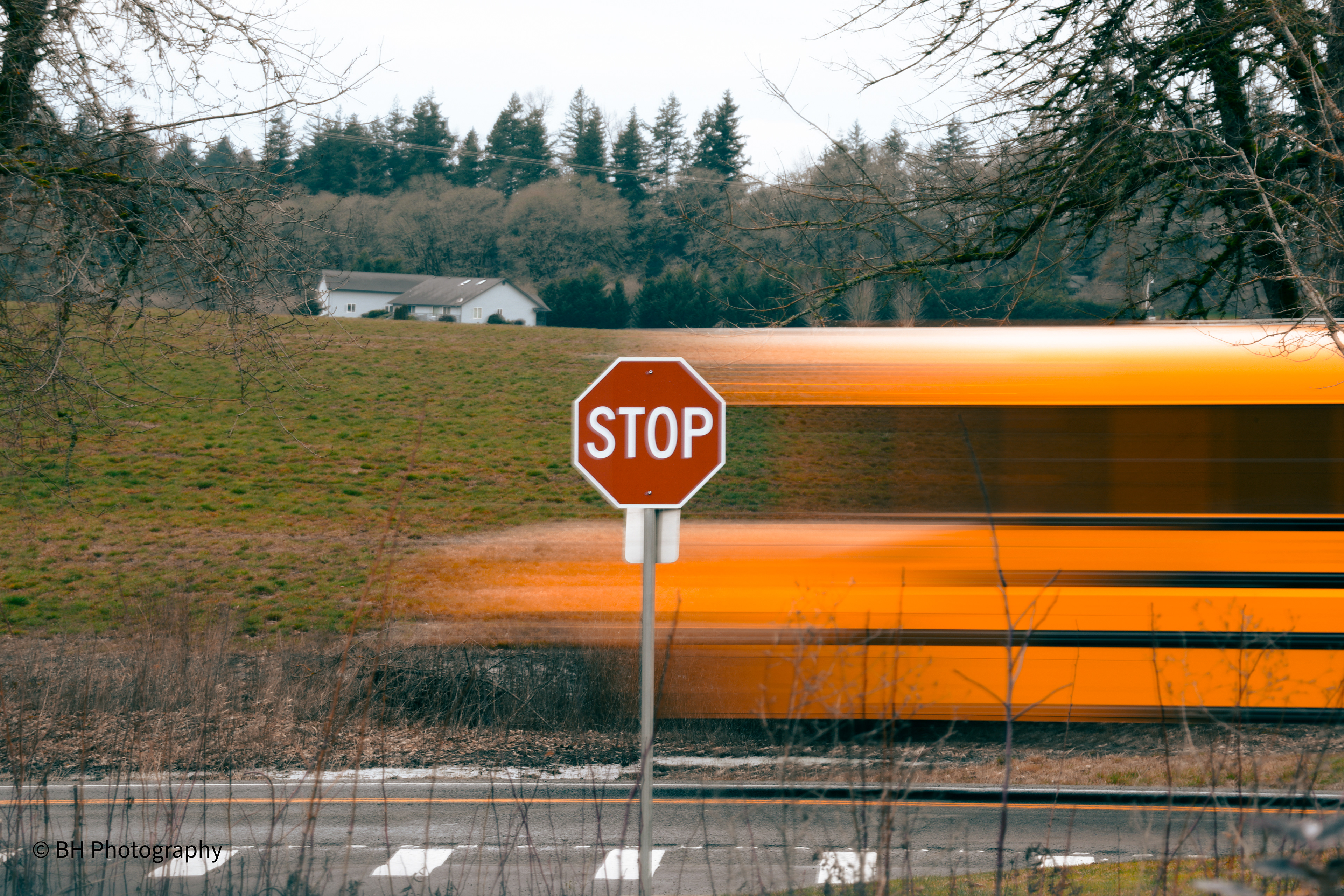 Hover Bus