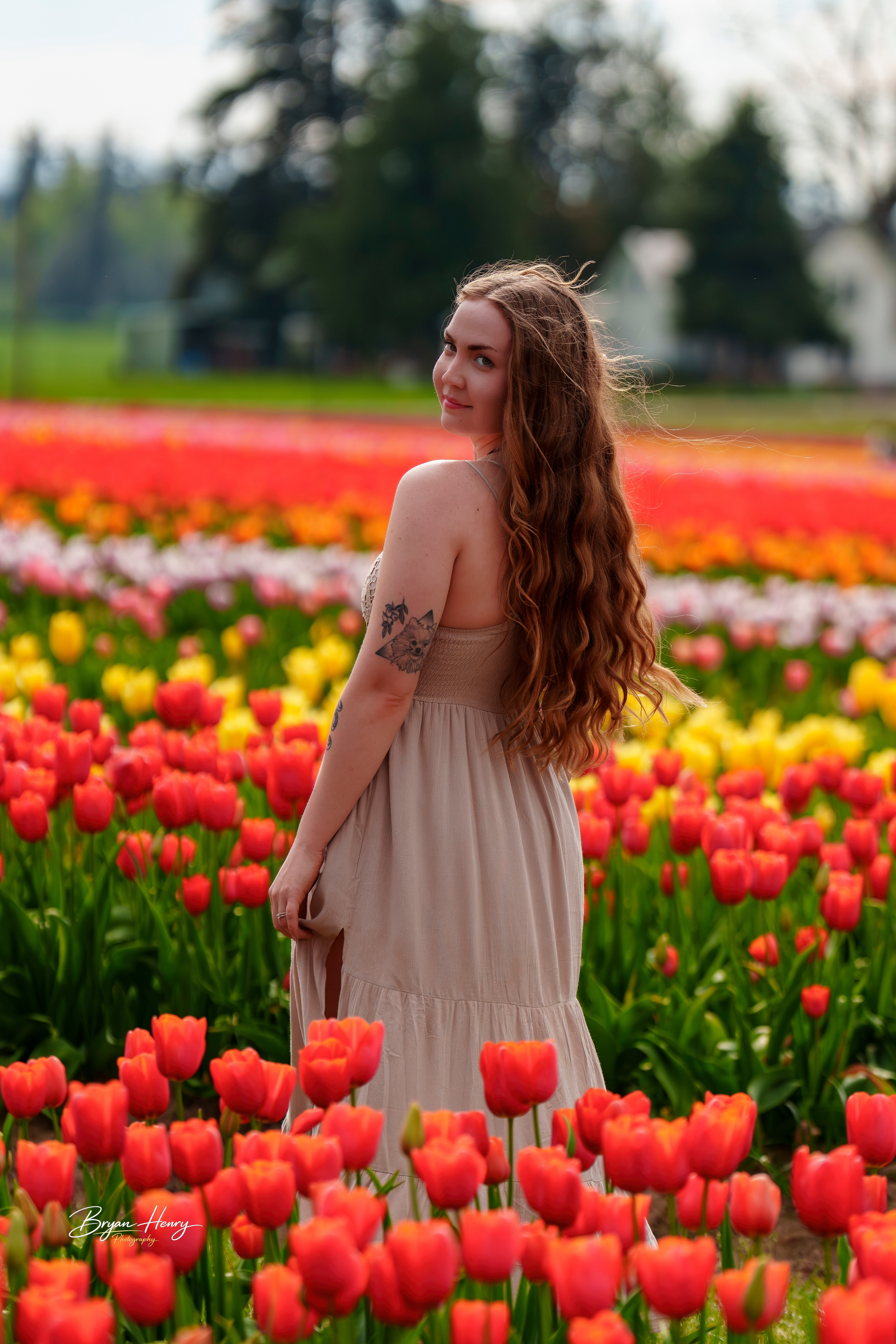Tulip Festival