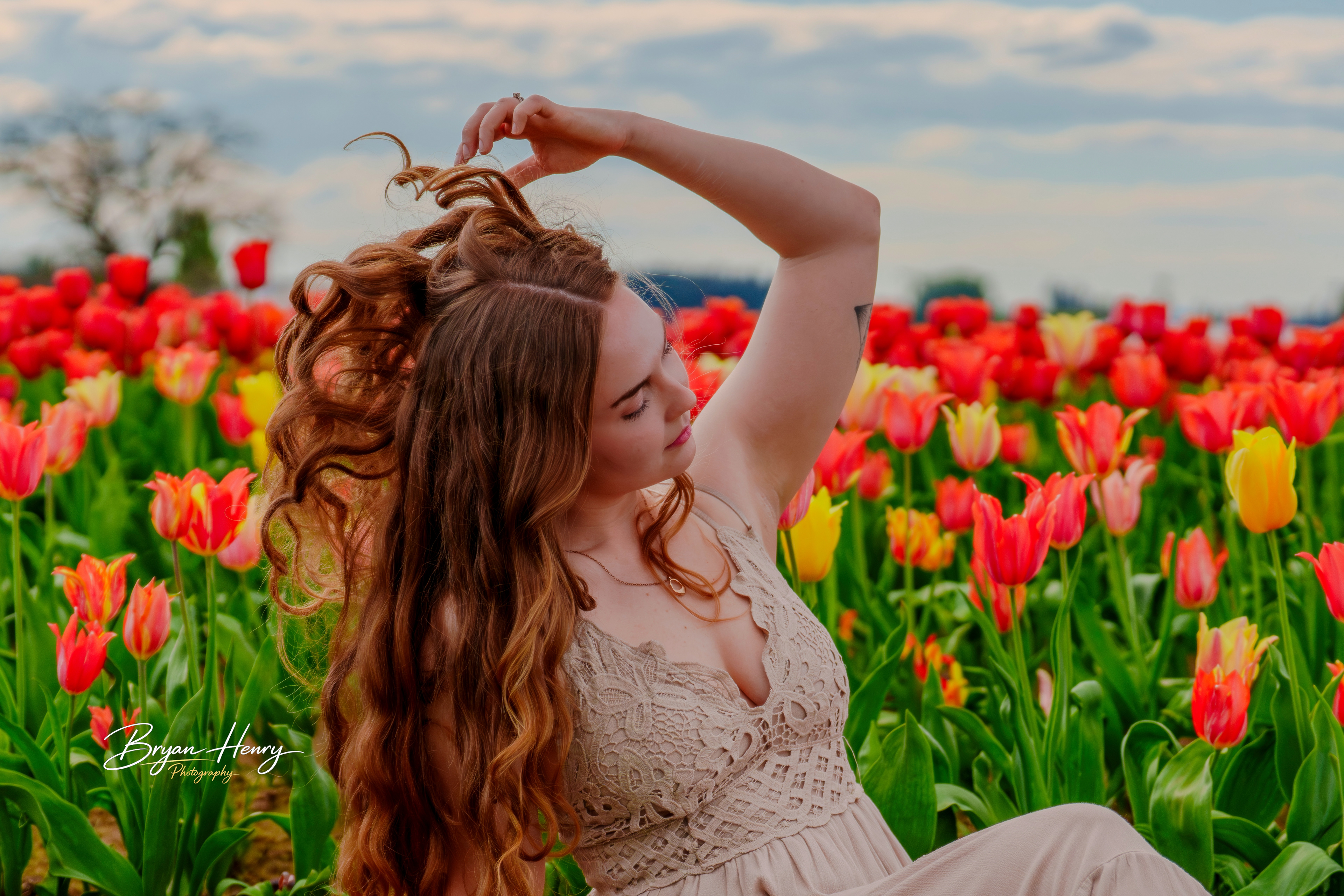 Tulip Dreams