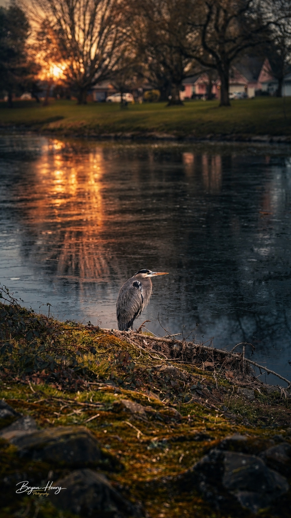 Relaxing Sunset
