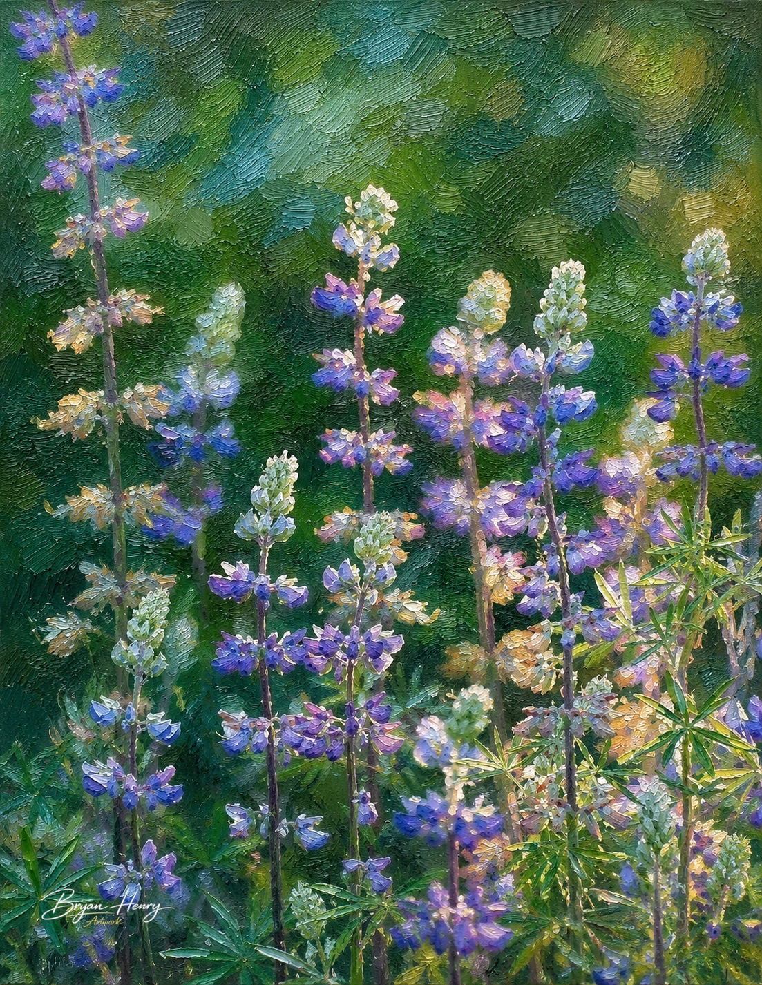Morning Dew