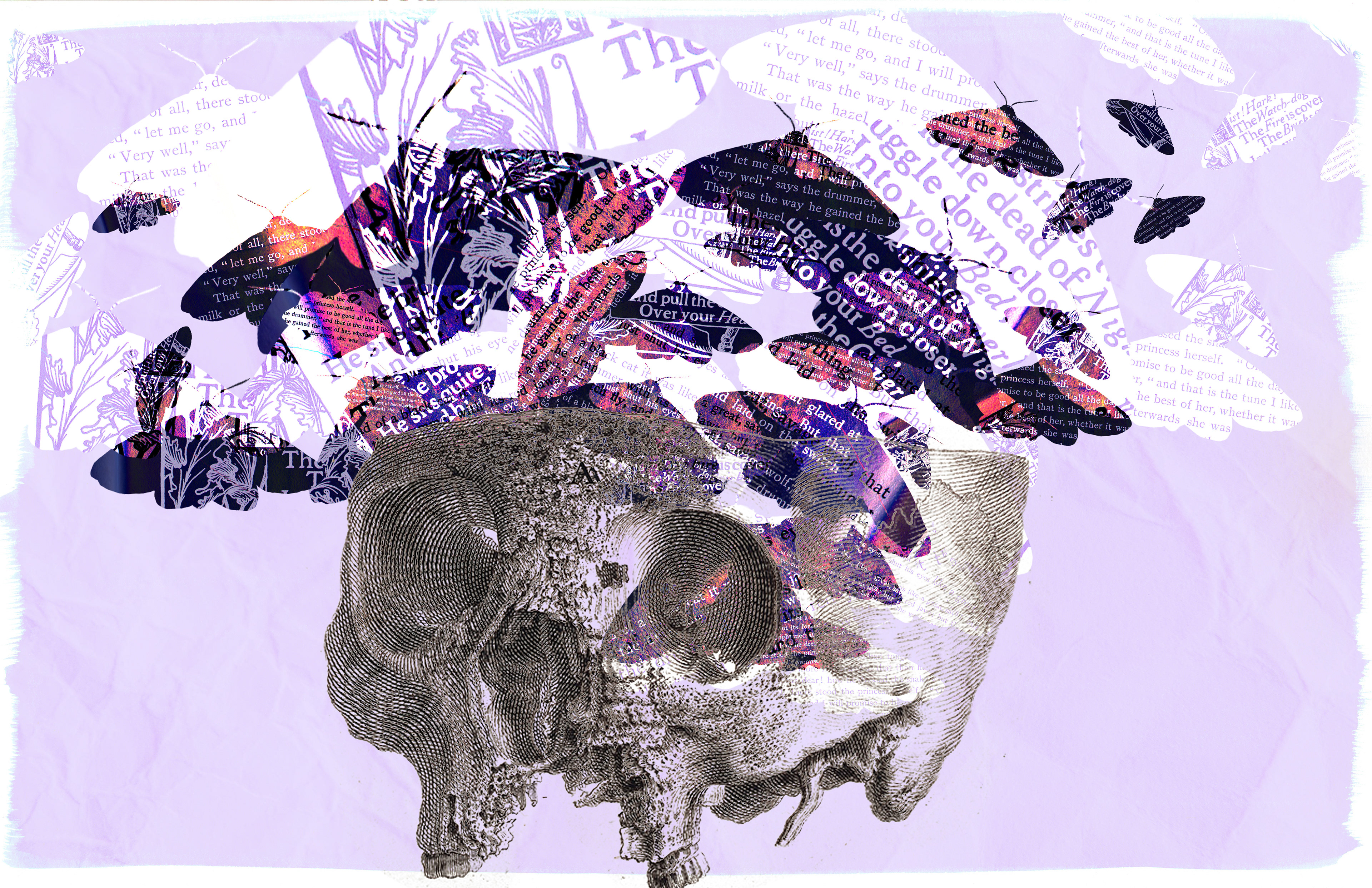 This is a photo composite I made using stock photos in Photoshop. The moths initially began as a single moth that I replicated to create a feeling of motion. 