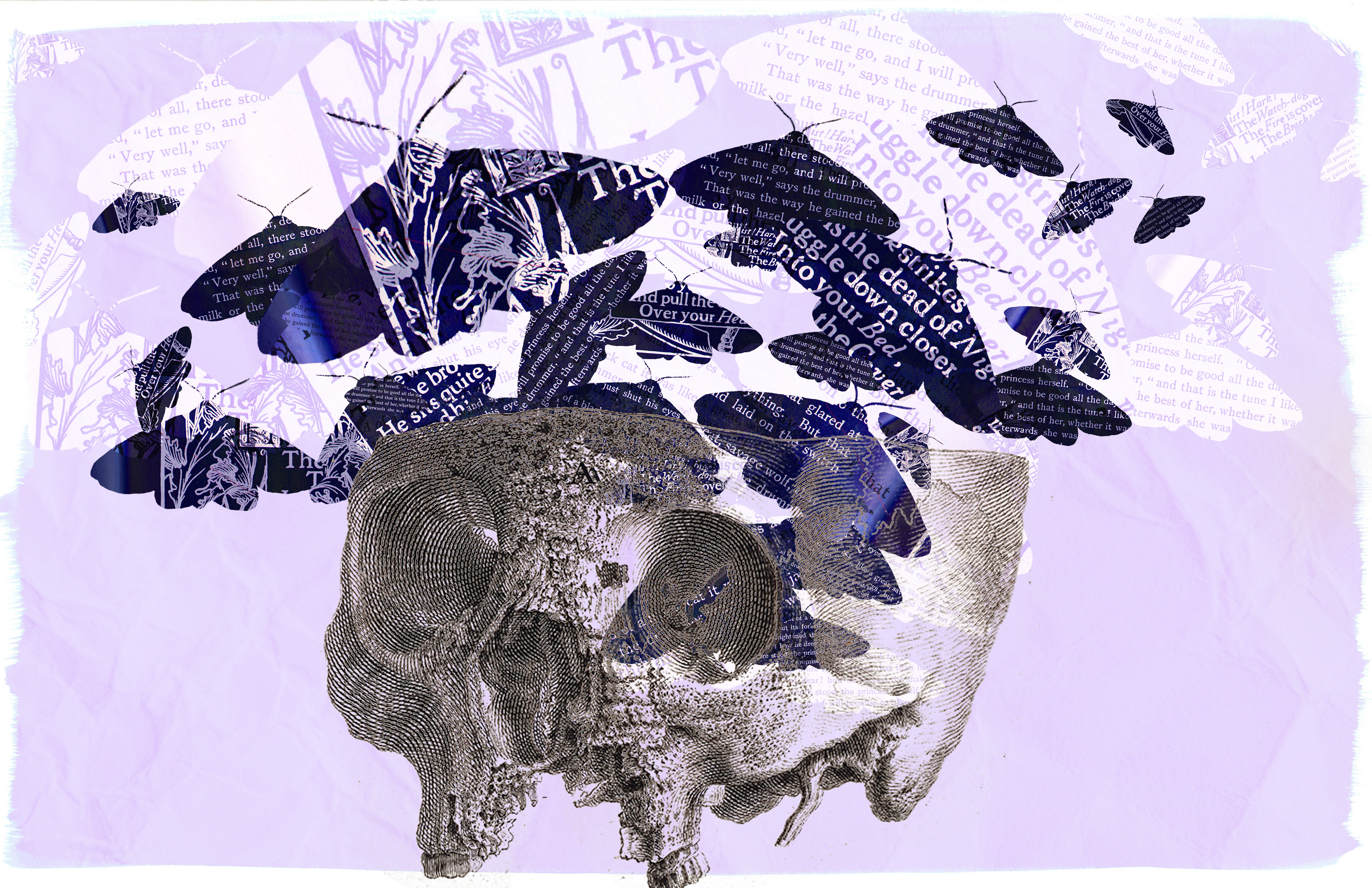 This is a different colorway of the first photo edit.