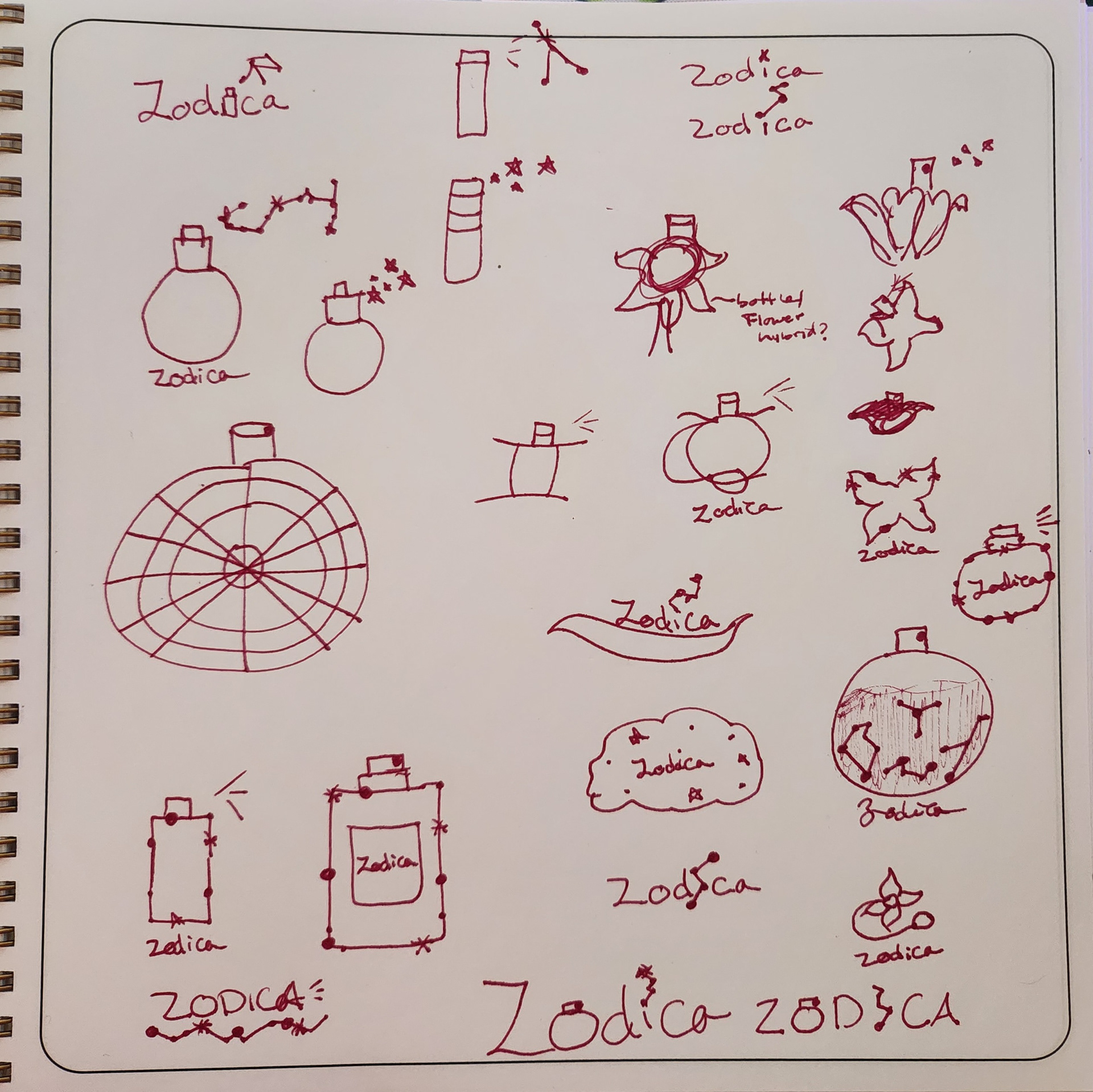 logo concepting