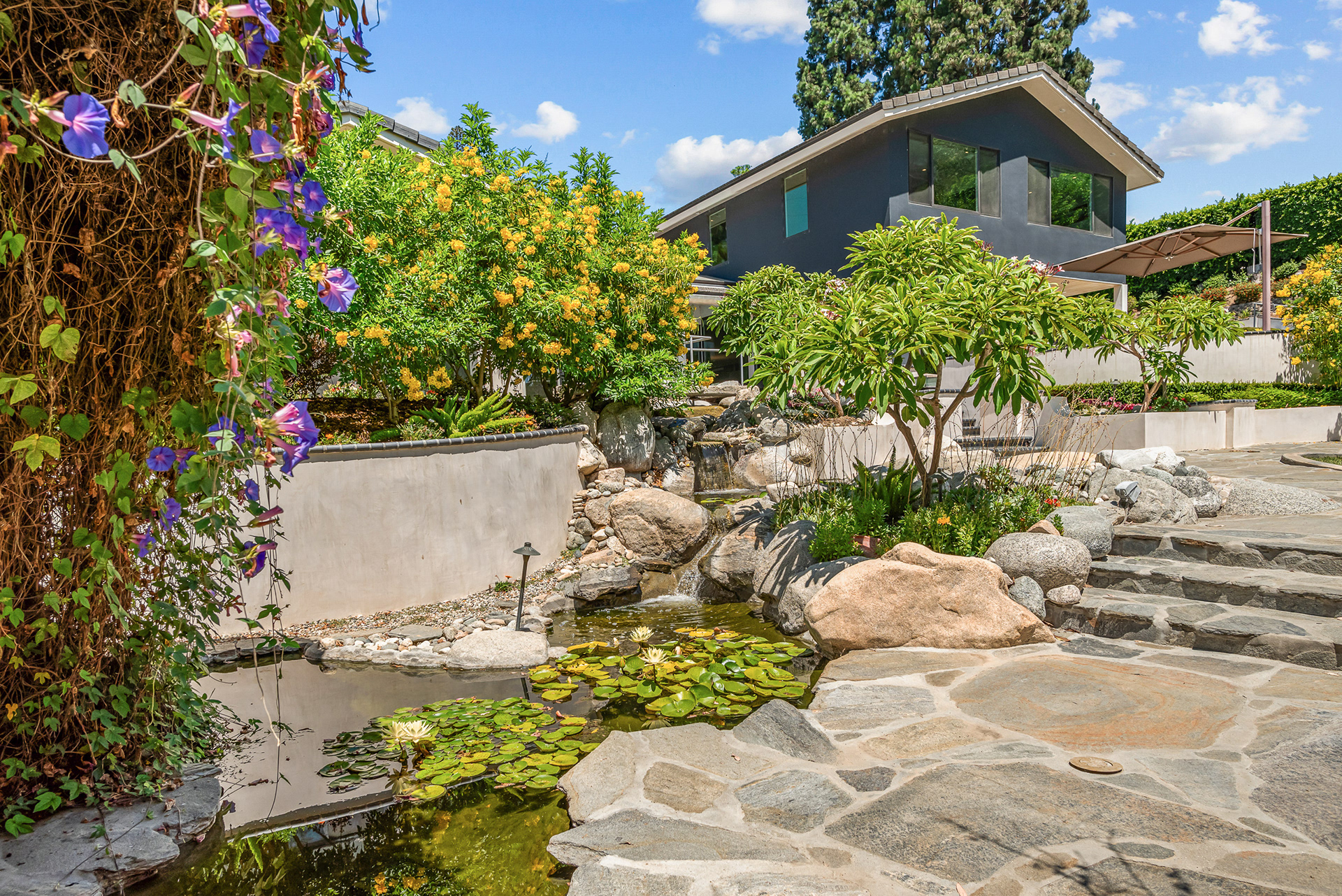 Exterior architectural photography of ultra-modern estate featuring serene koi ponds and custom water features in La Cresta - Andrew Crippen Visuals
