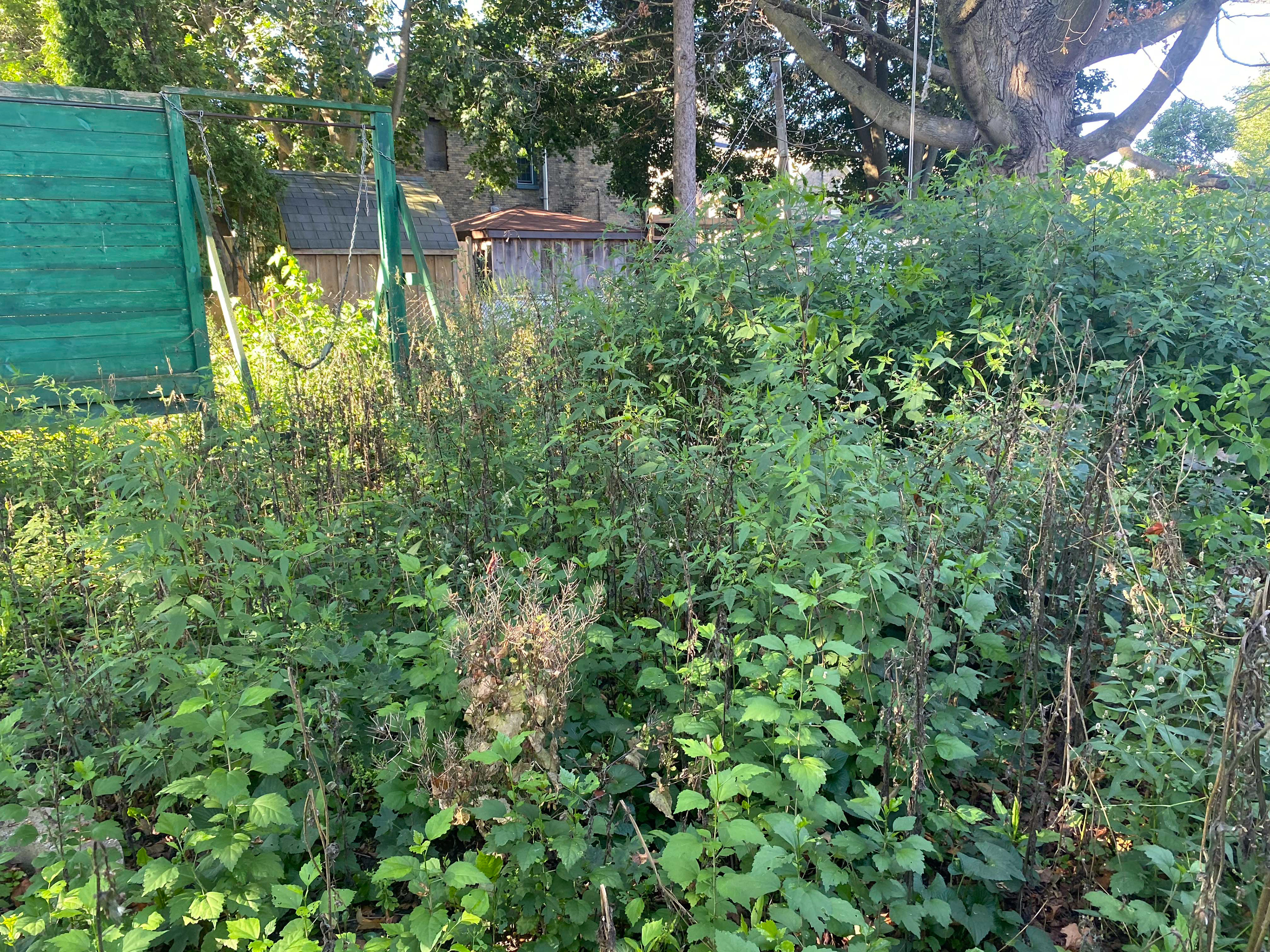 Before