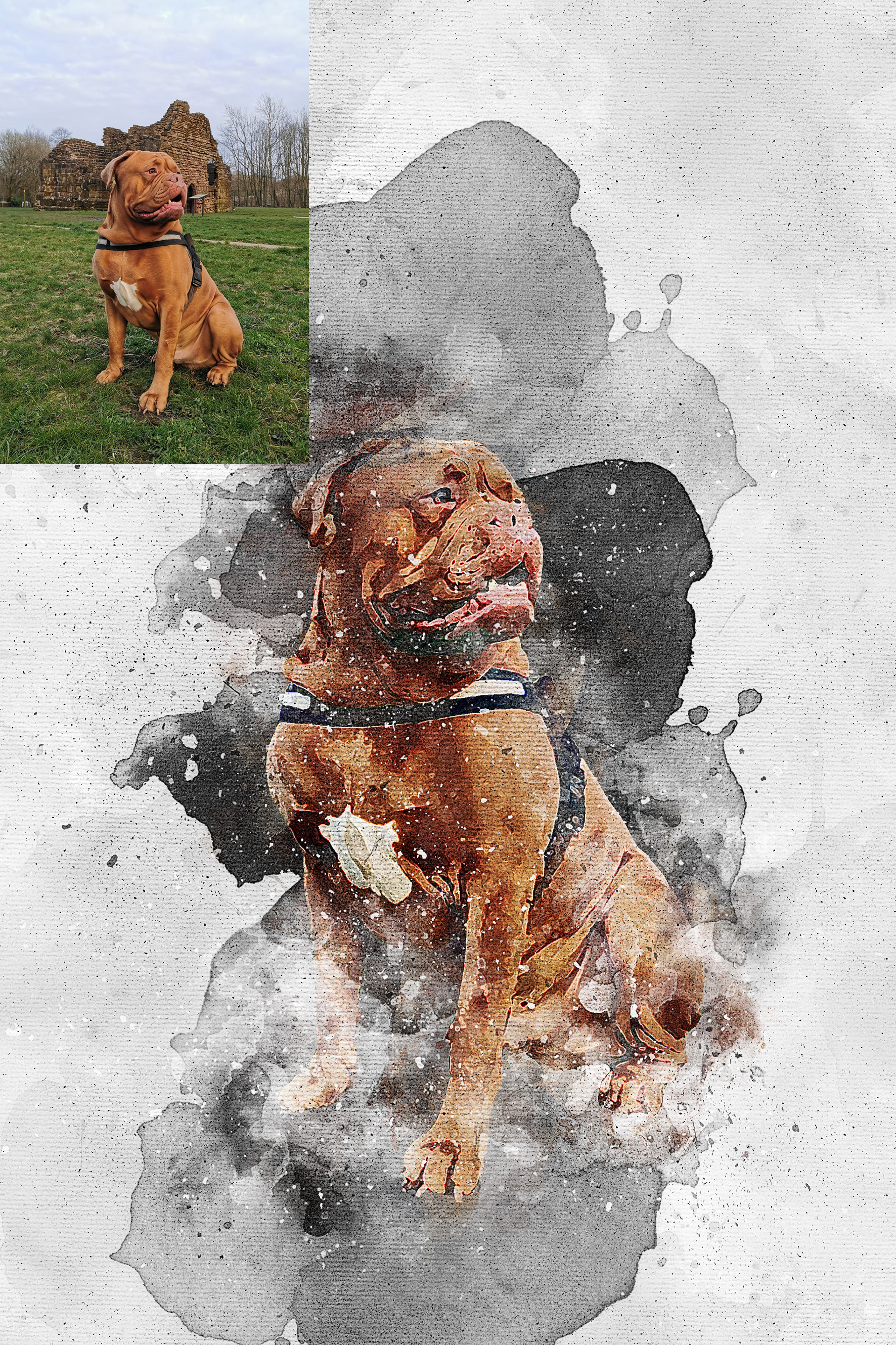 custom pet portrait