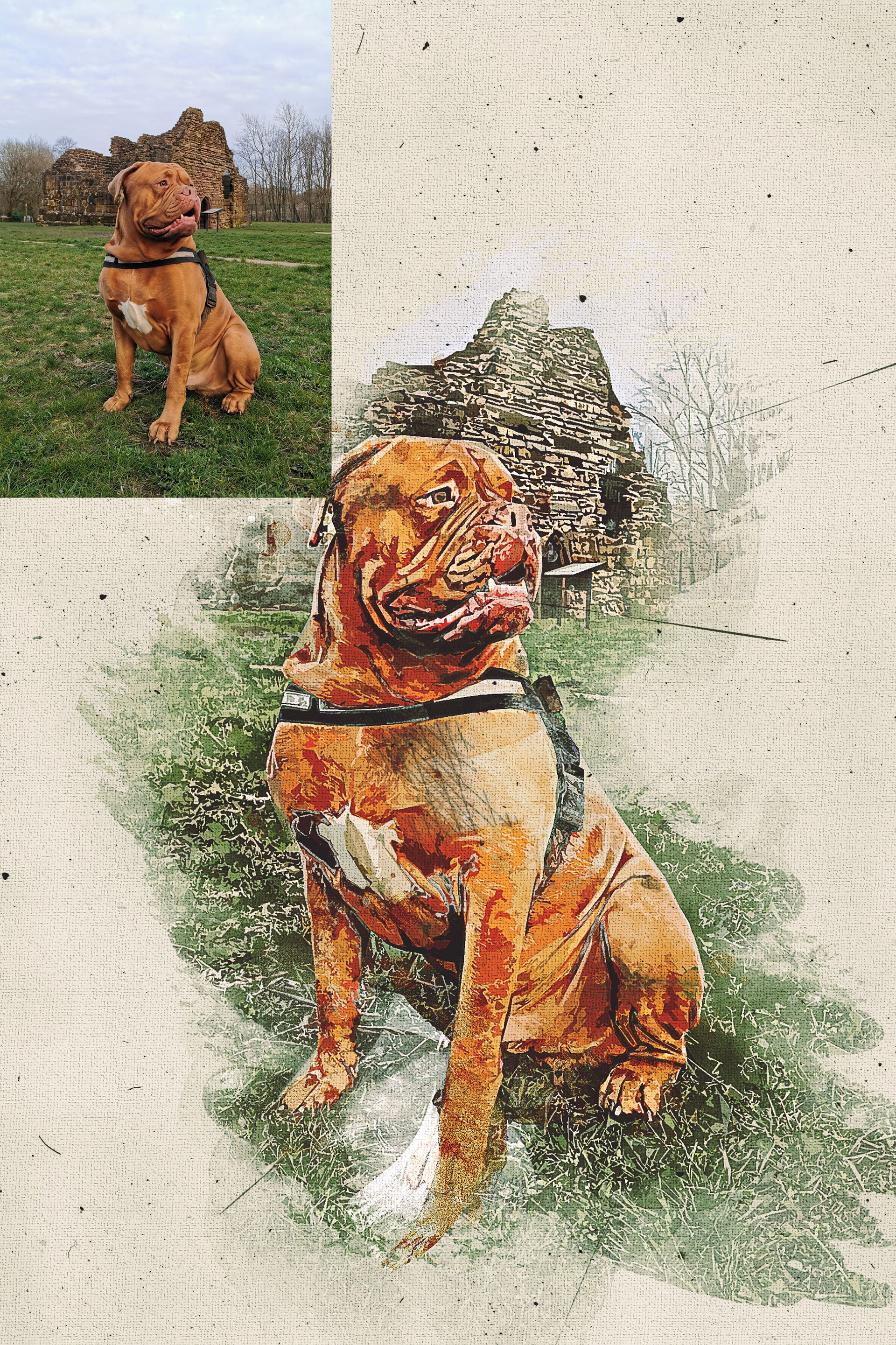 custom pet portrait
