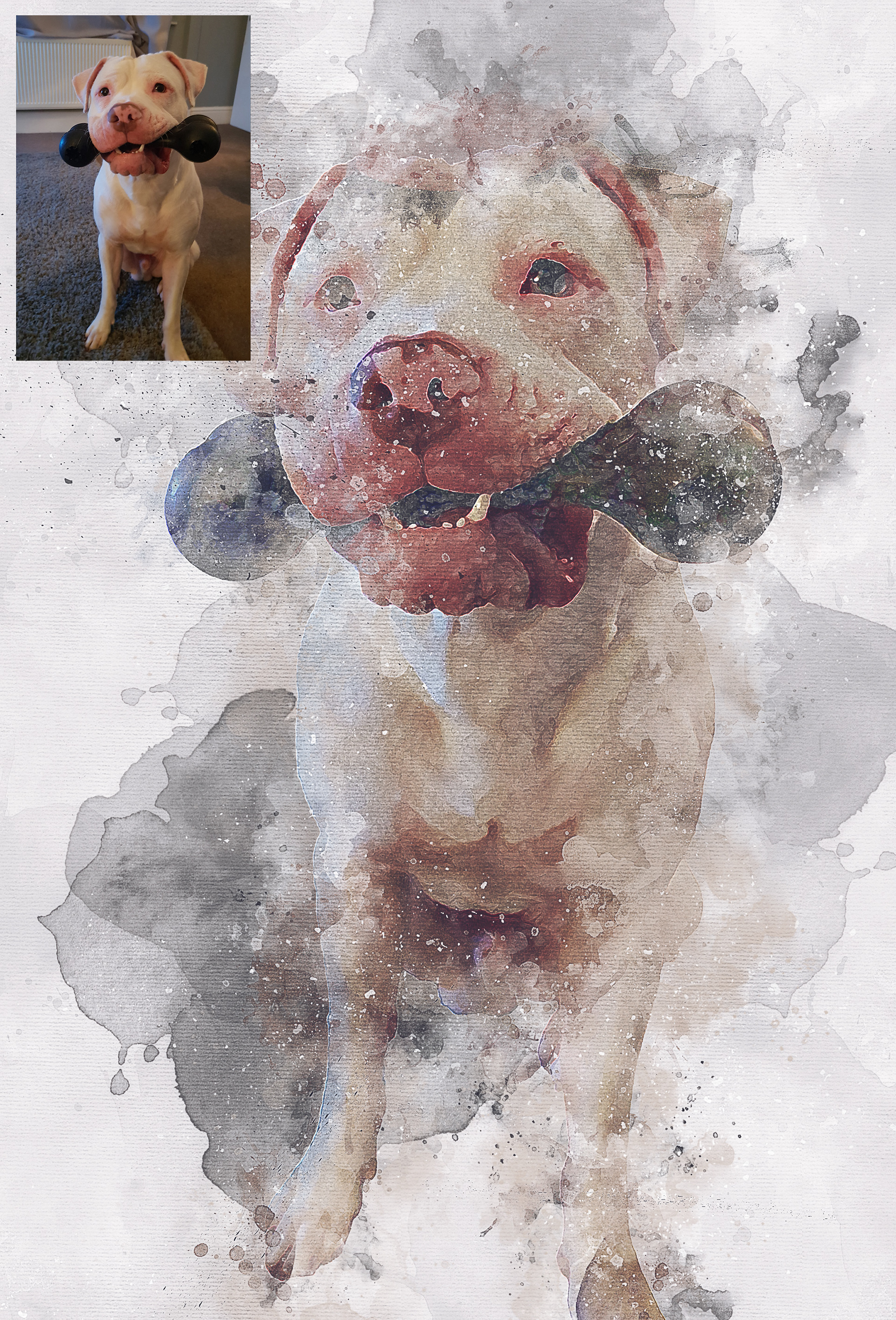 Custom pet portrait