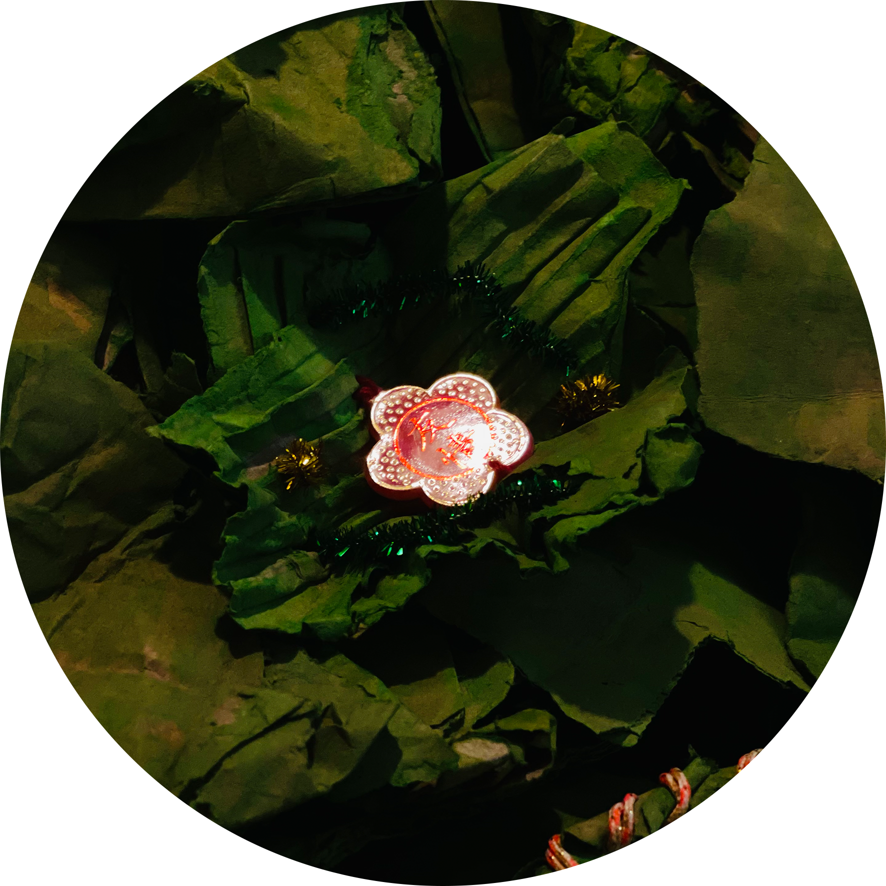 蕭宇汶 Yogafish Xiao|進來看看吧 Come On In and Take a Look