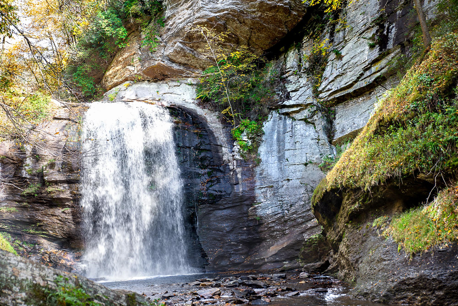 Looking Glass Falls - Brevard